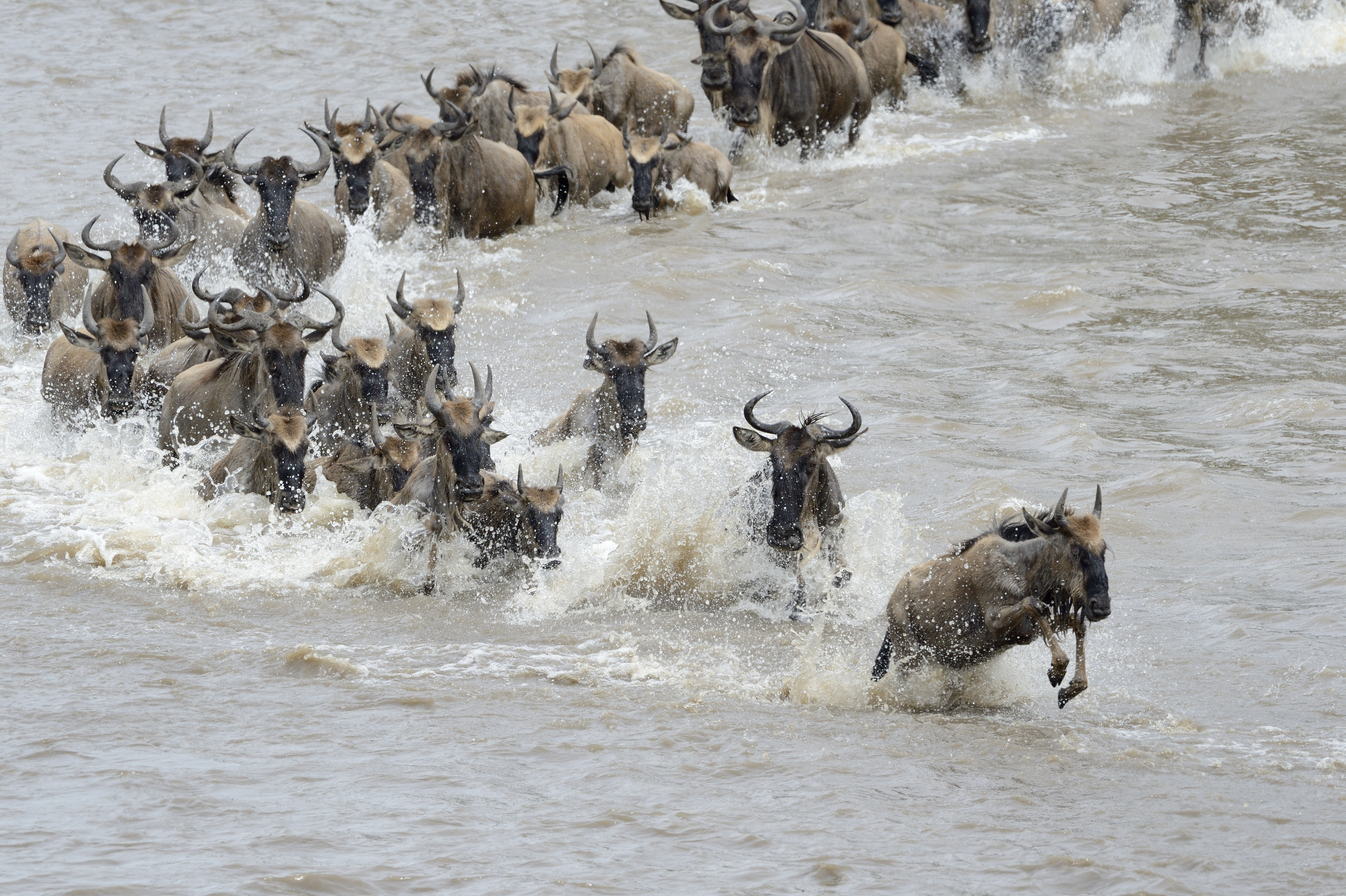 Tanzania Serengeti safari with Zanzibar beaches