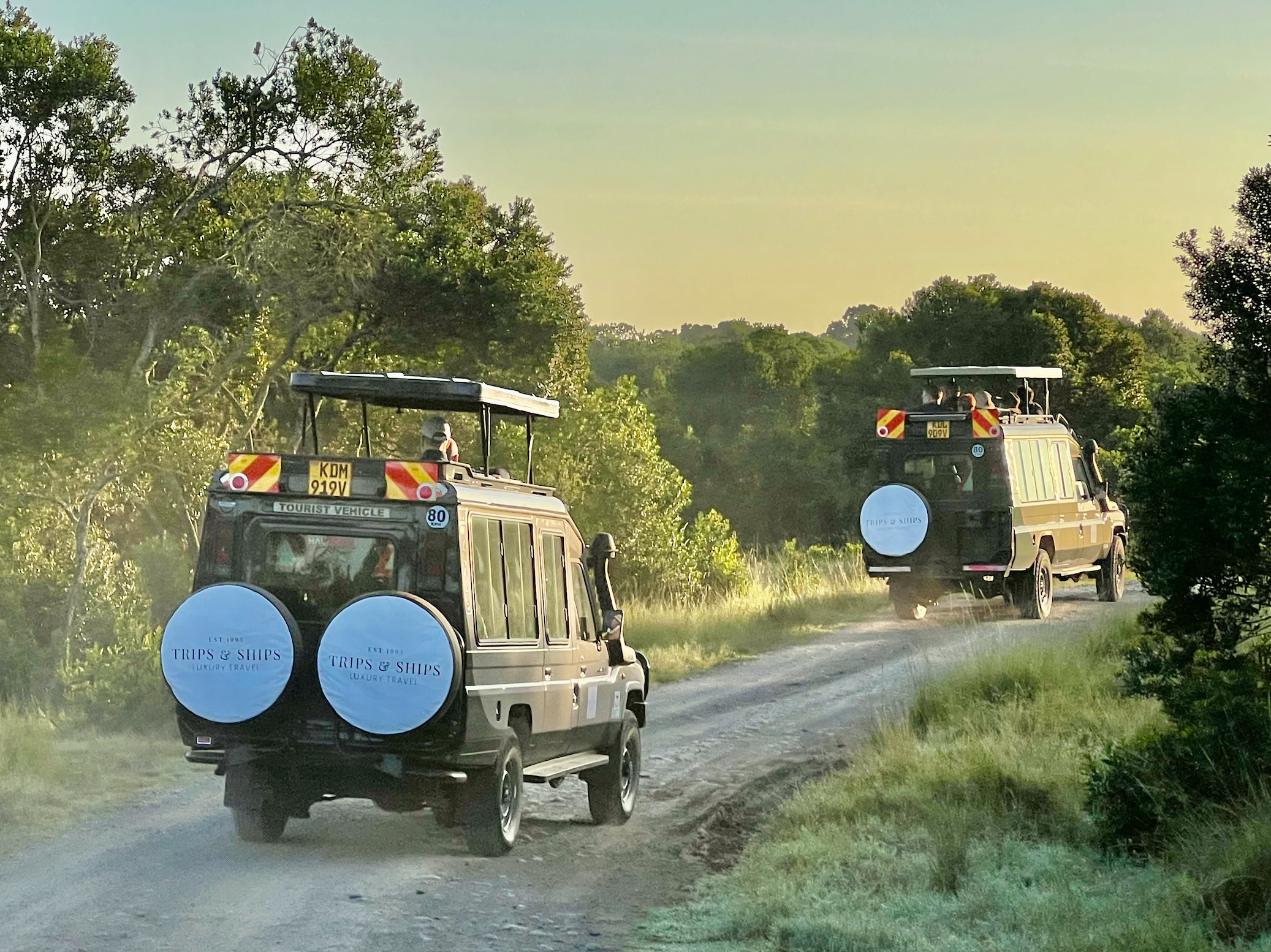 Essential packing tips for Safari travel
