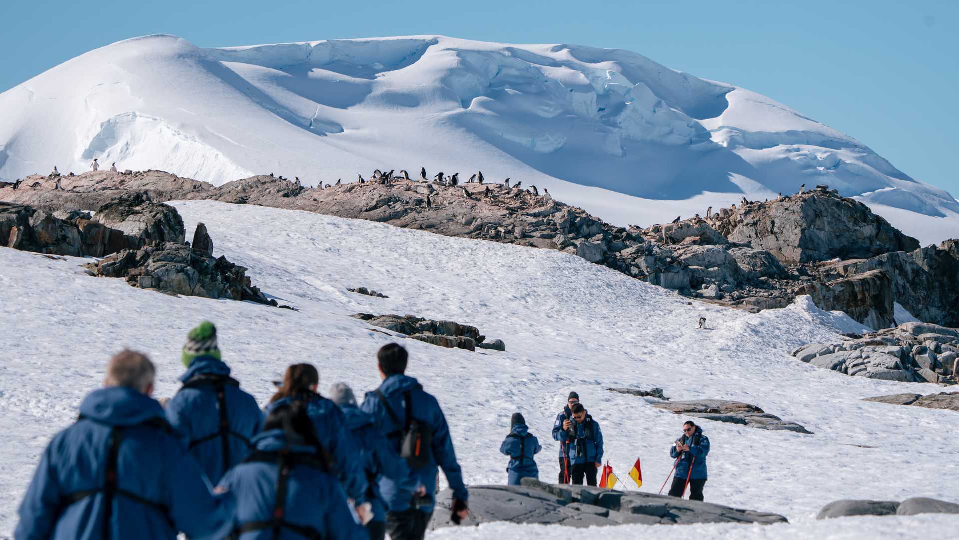 Antarctica & South Georgia