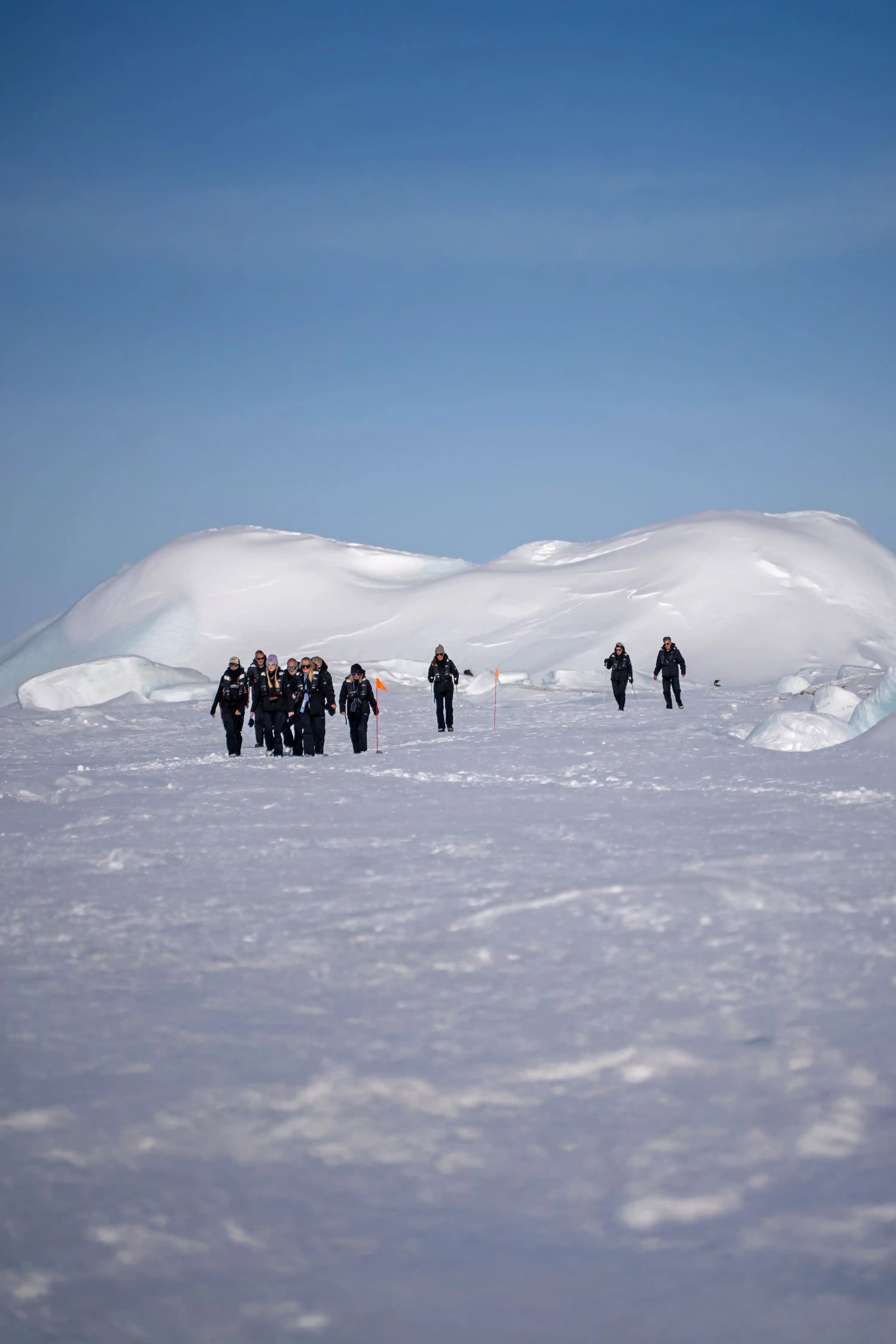 Colossal Antarctic Icebergs