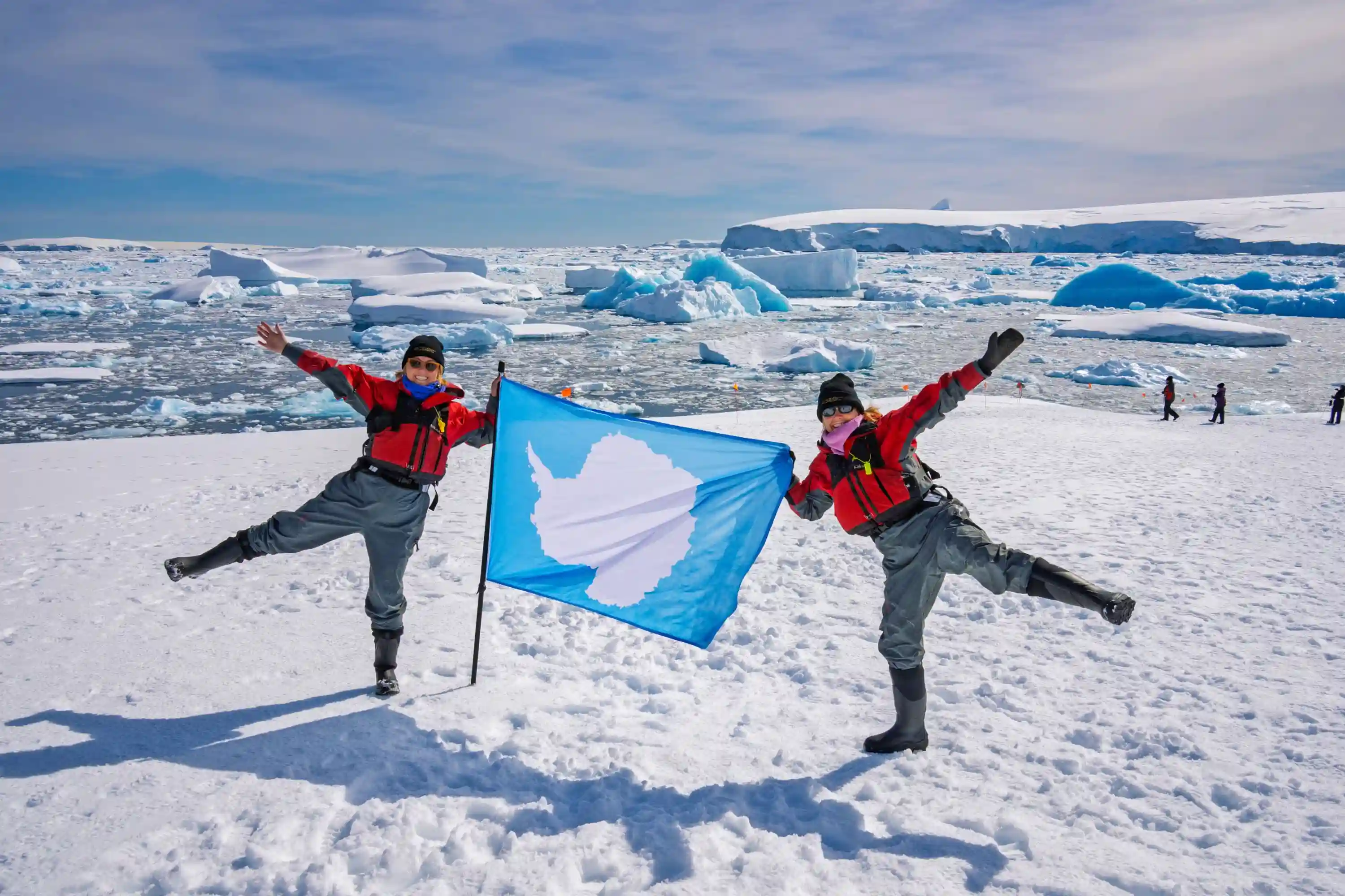 Wildlife in Antarctica