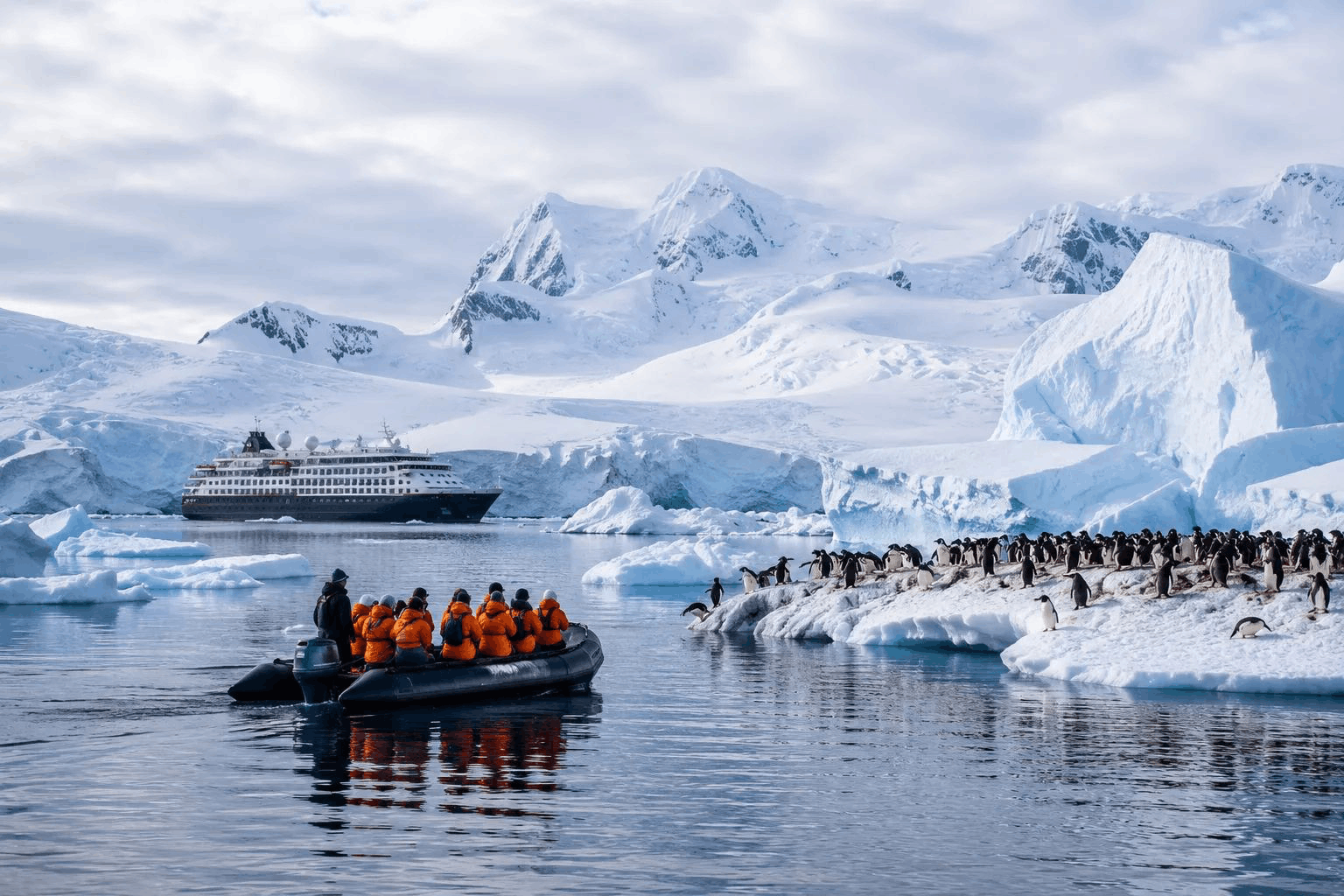 Antarctica Expedition luxury cruise adventure