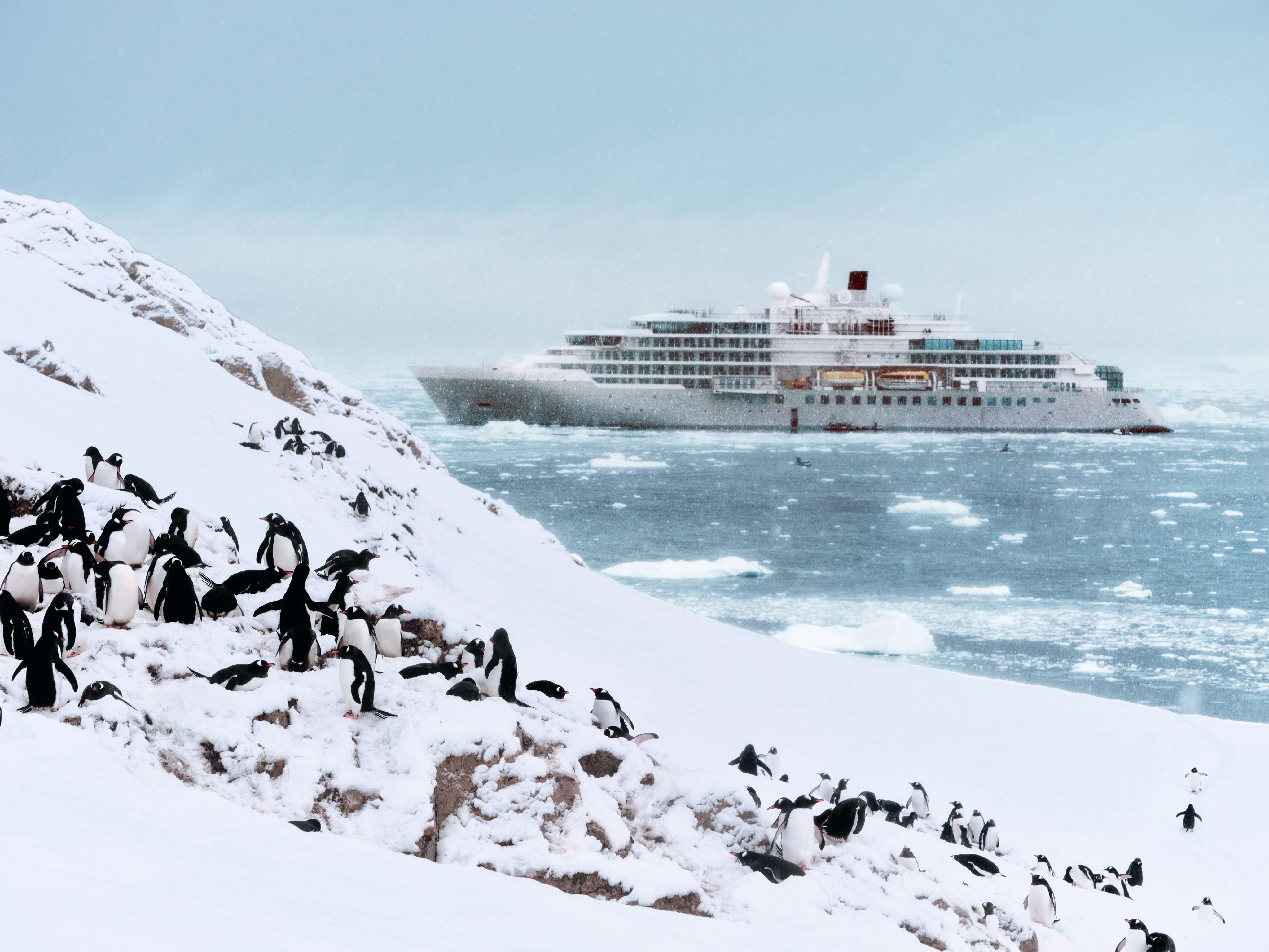 Silversea Luxury Arctic