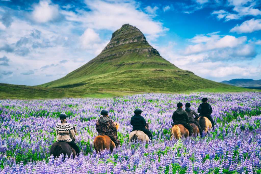 Cultural & Nature Exploration