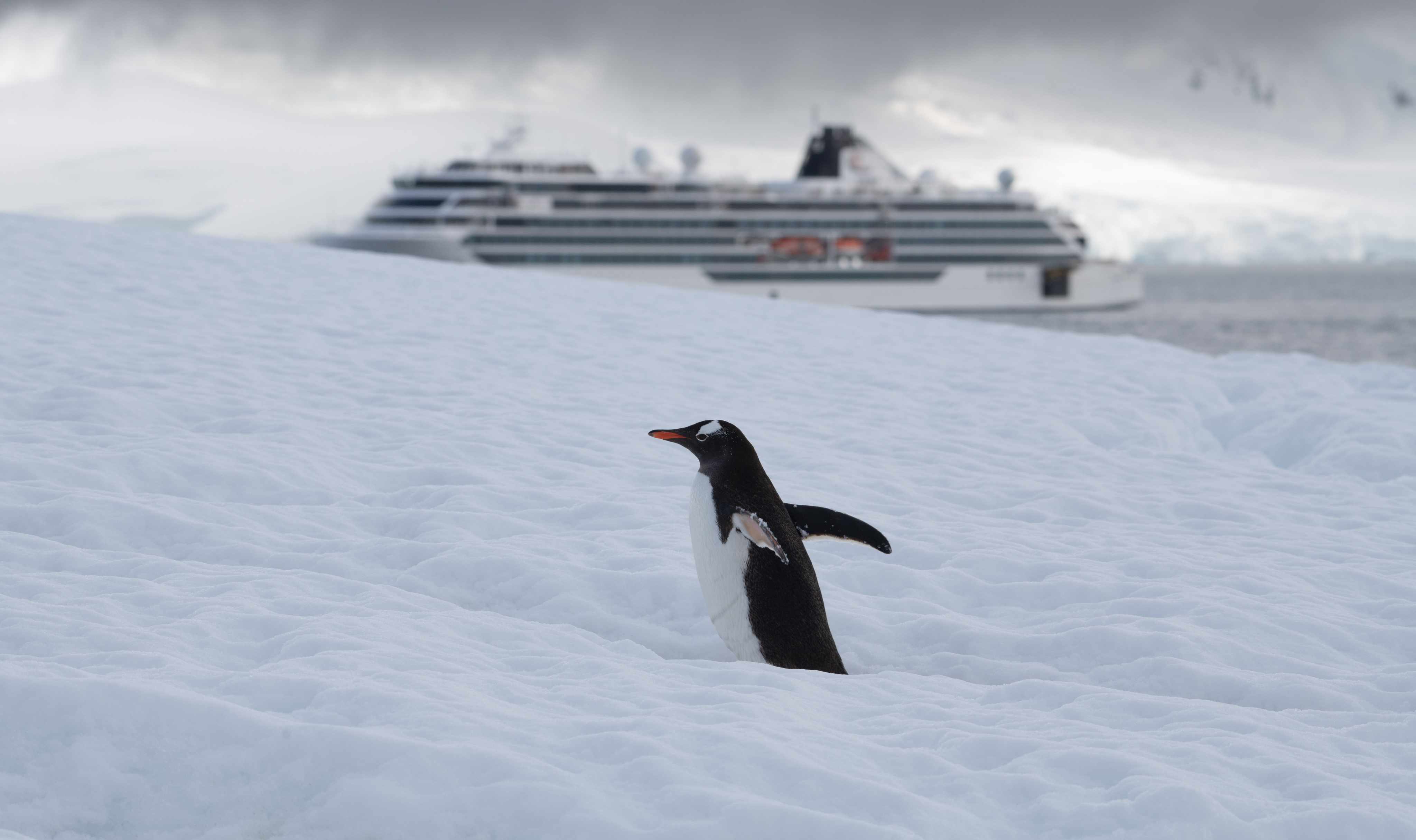 Donor expedition cruise wildlife and exploration experience