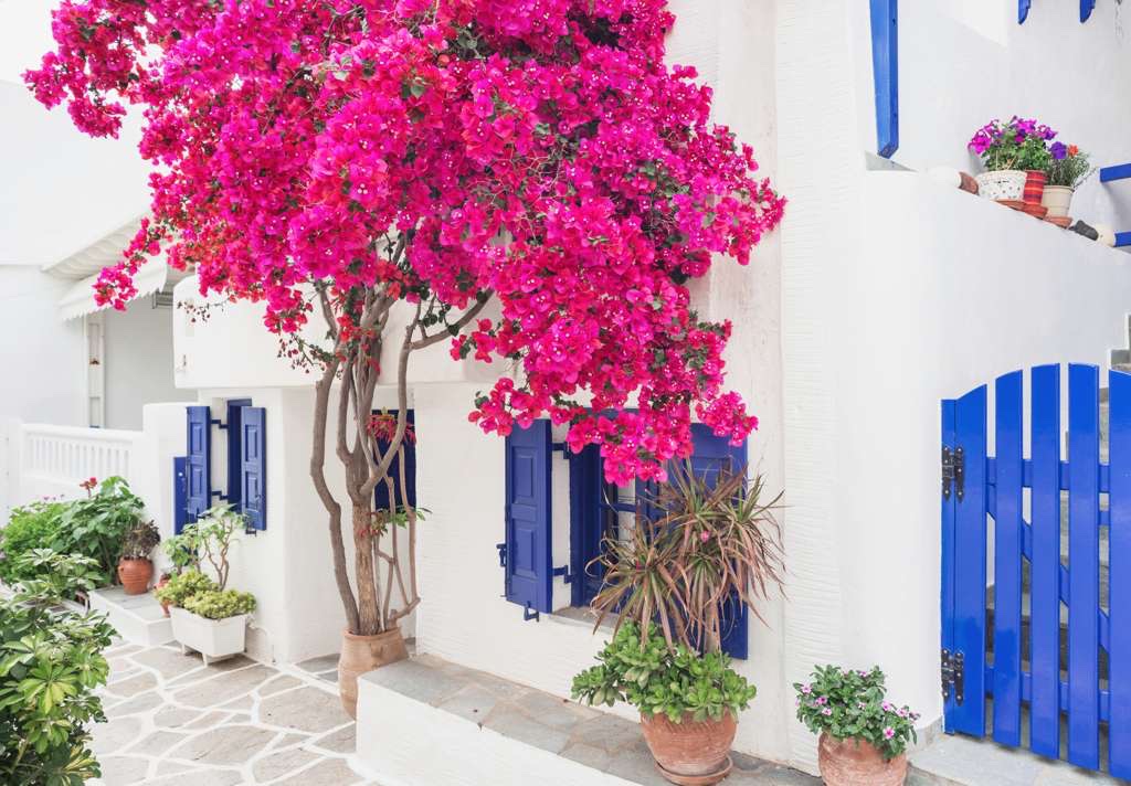 Slow luxury travel through the Greek Isles with Explora Journeys