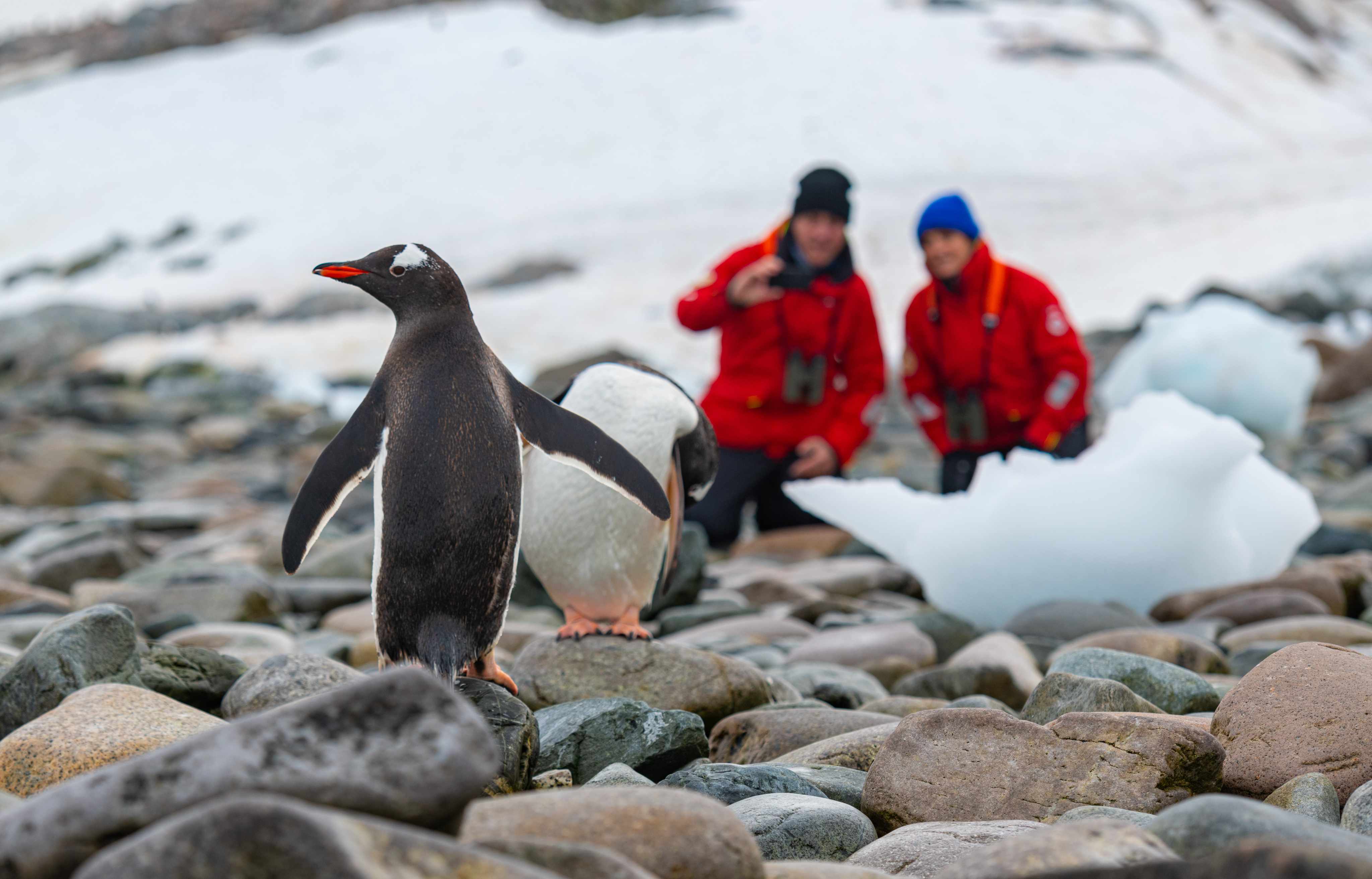 Donors participating in an expedition cruise and educational travel experience