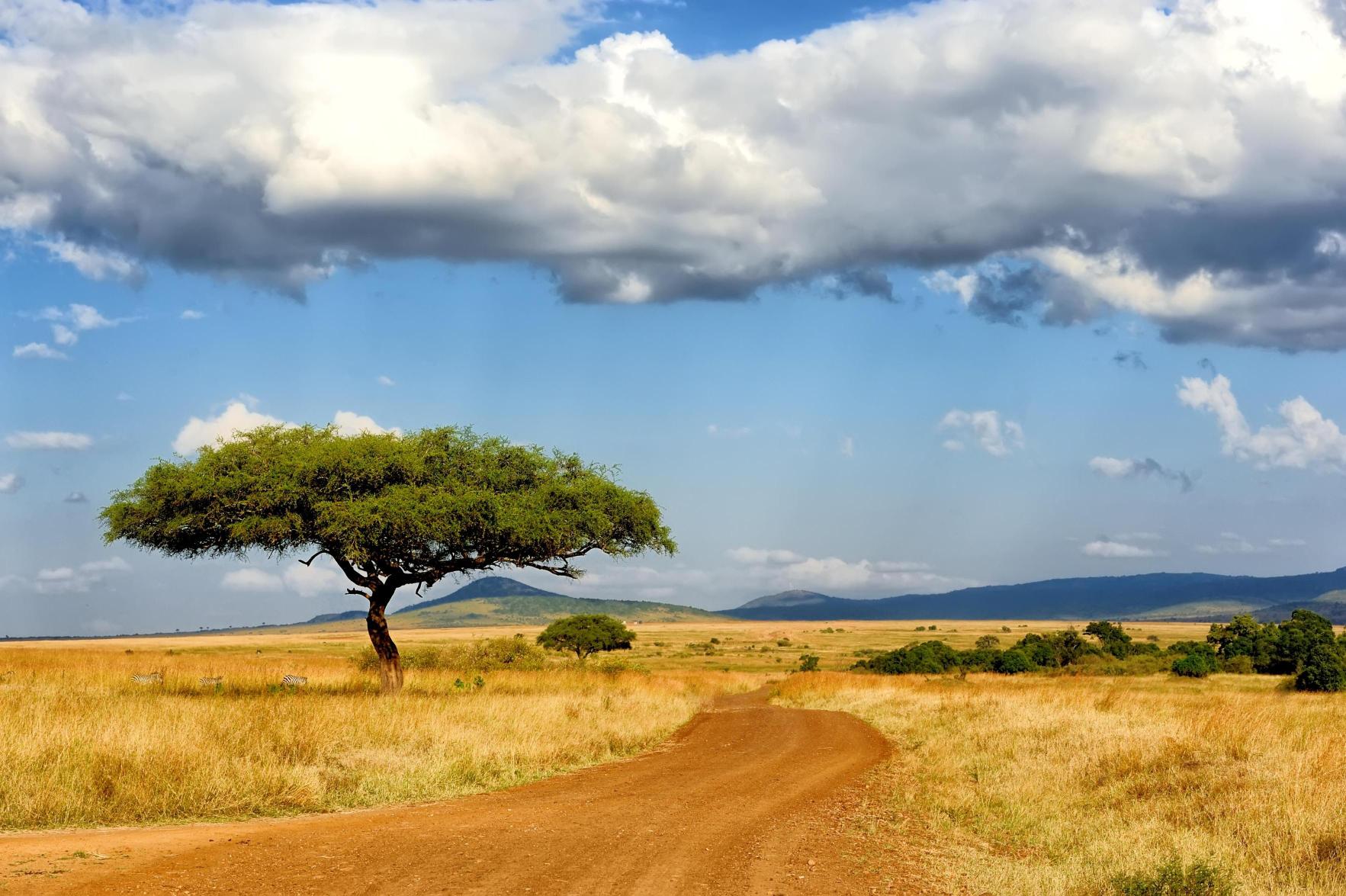Kenya Great Migration