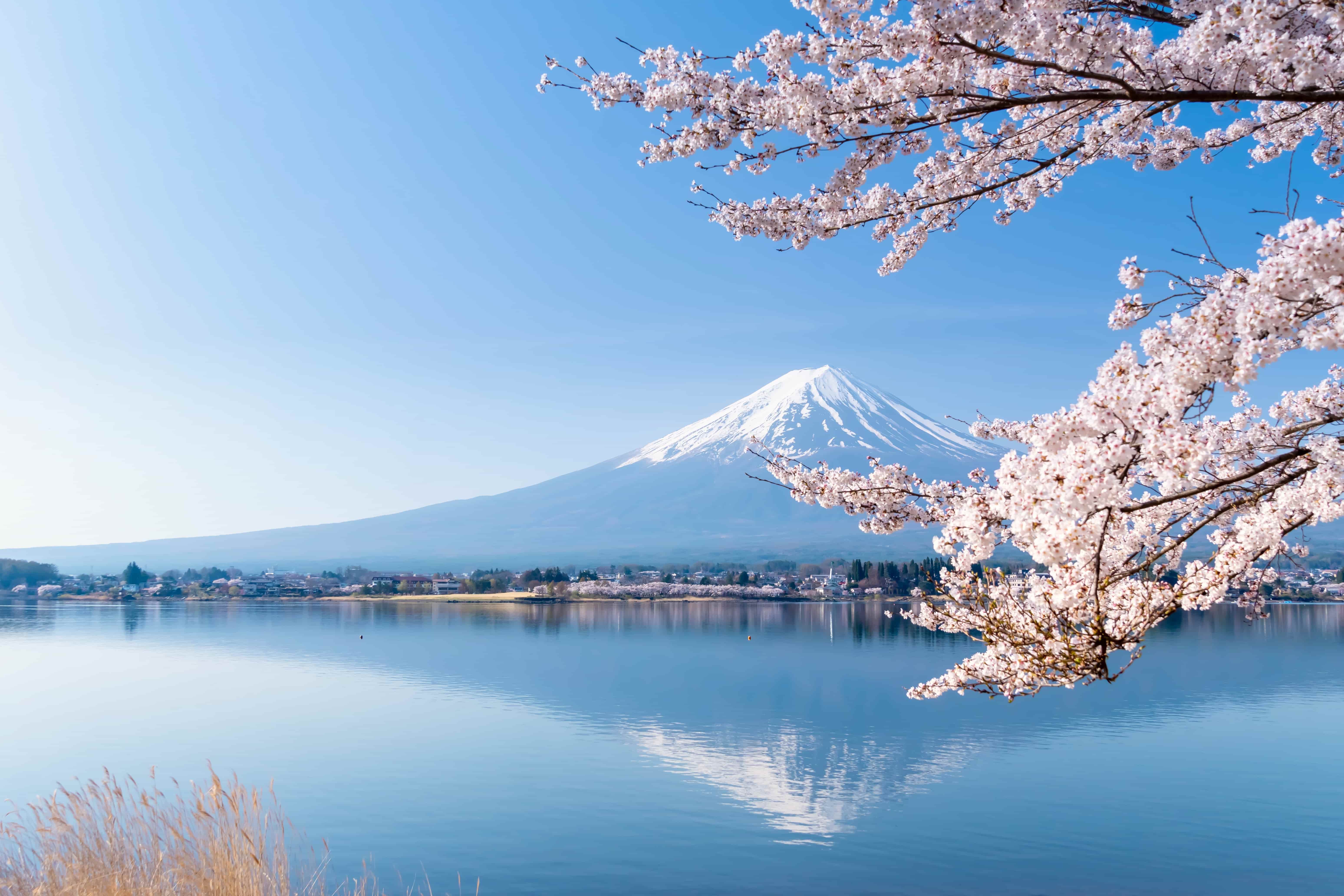 Japan Scene