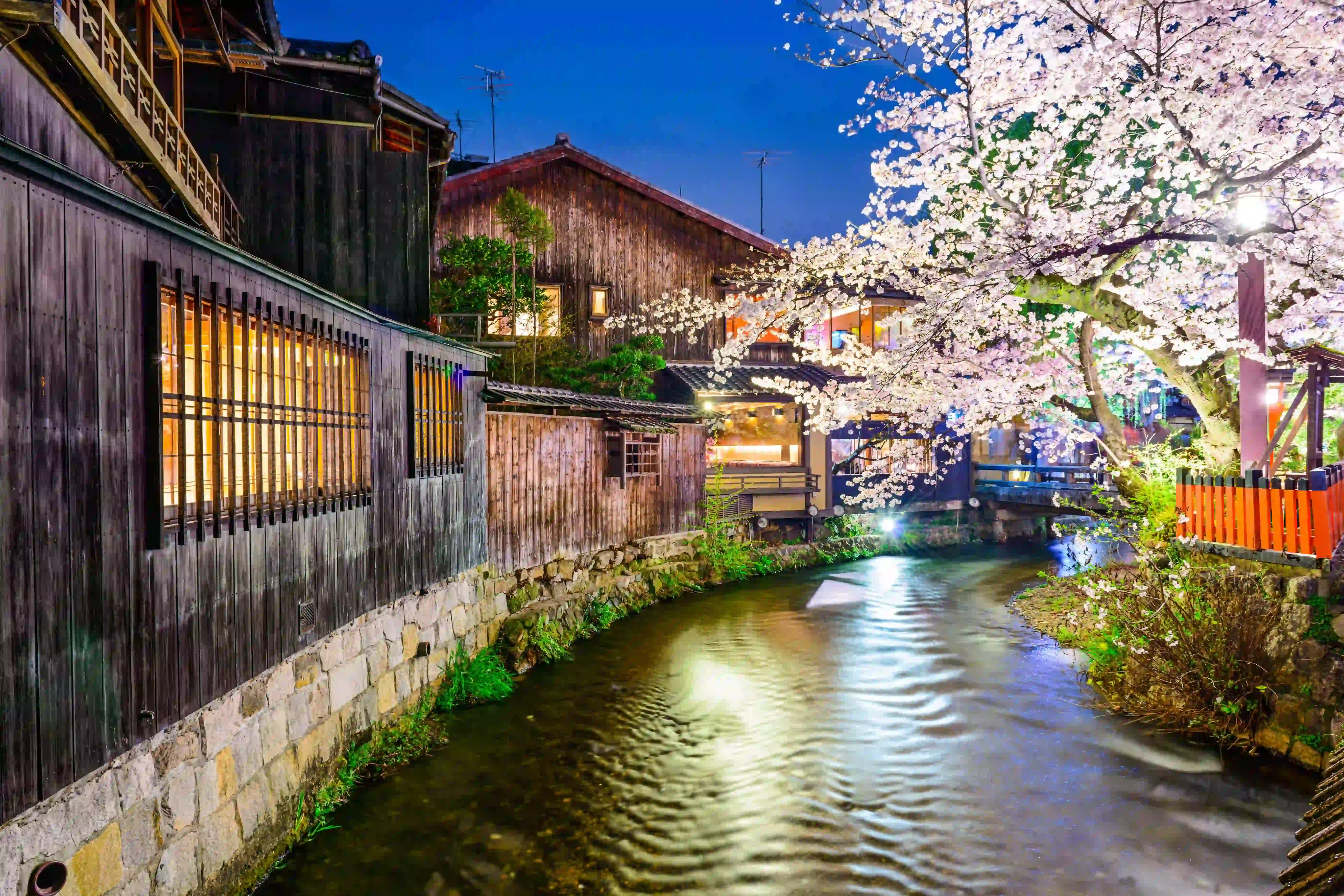 Nighttime Tokyo