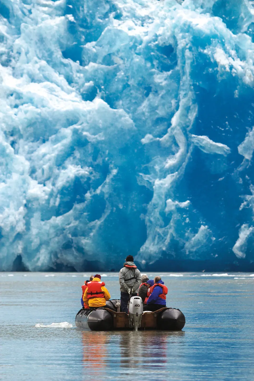 Penguin Rookeries & Behavior