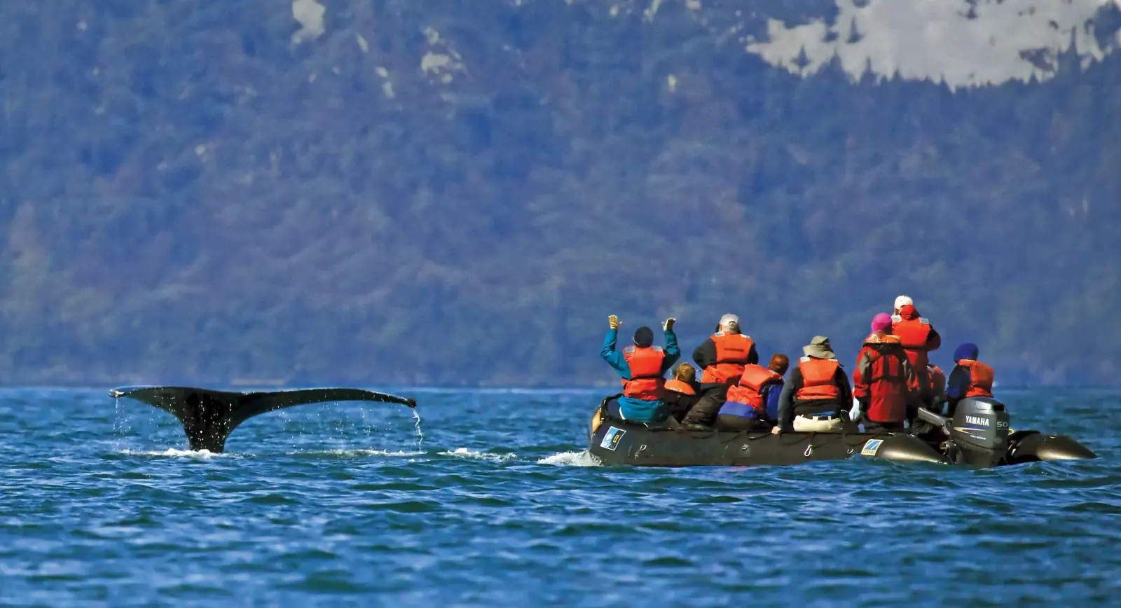 Baja California & Sea of Cortez