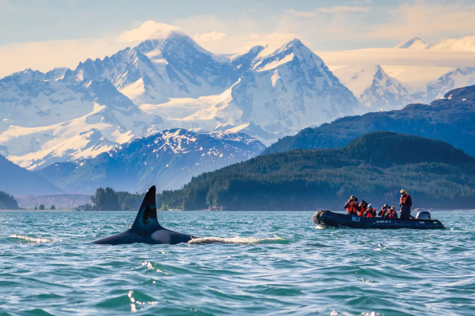 Arctic Norway & Svalbard