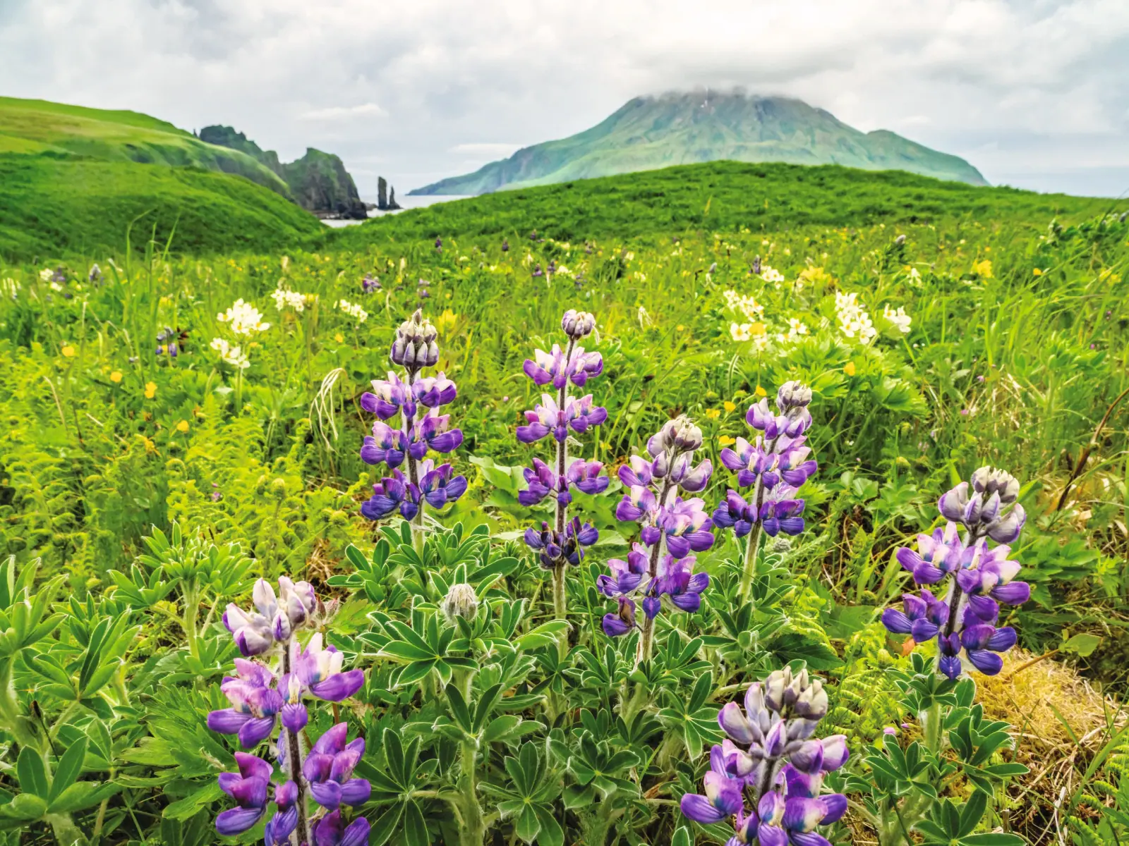 Iceland & Greenland Combinations