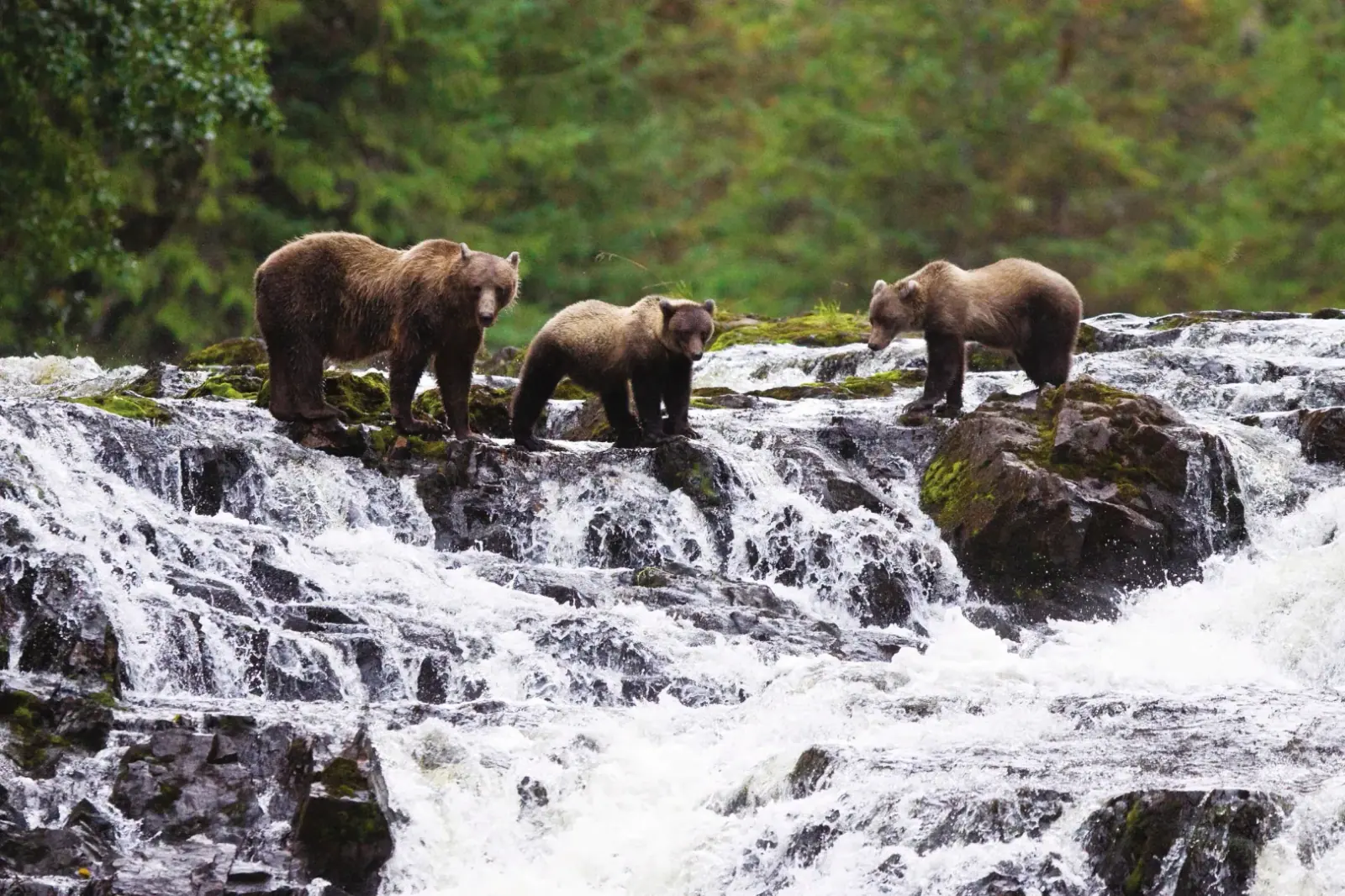 Alaska's Inside Passage