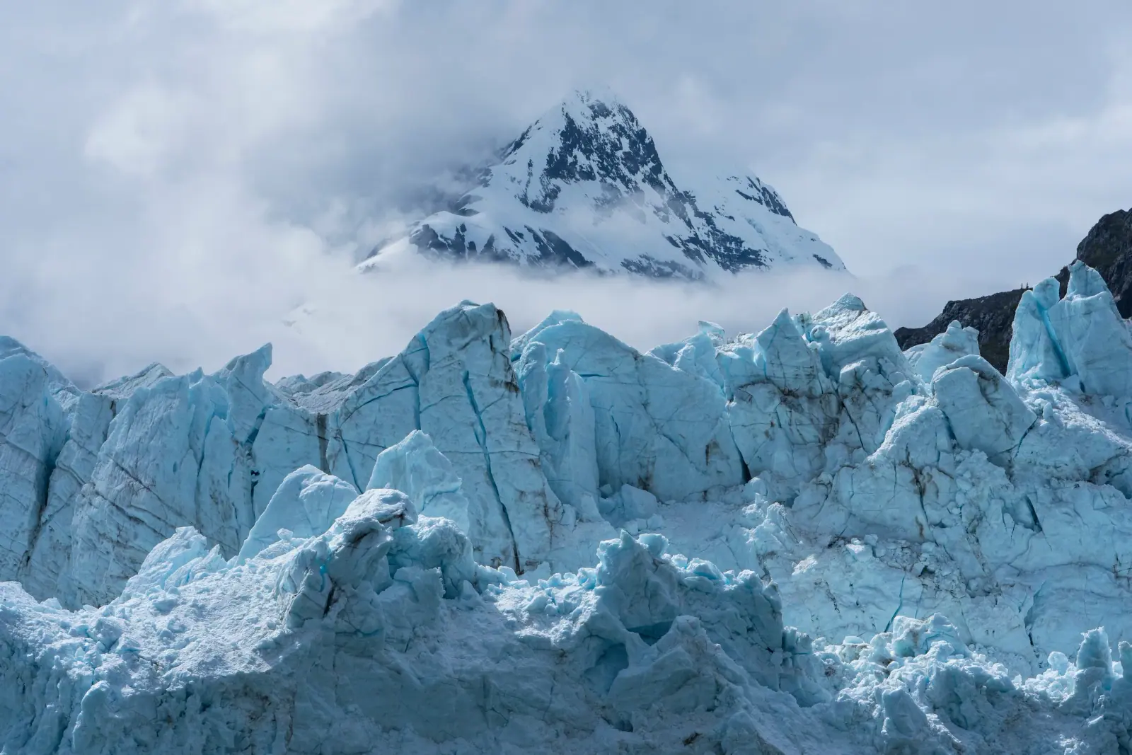 The Arctic Is Not Somewhere You Cruise Past — It Is A World You Step Into