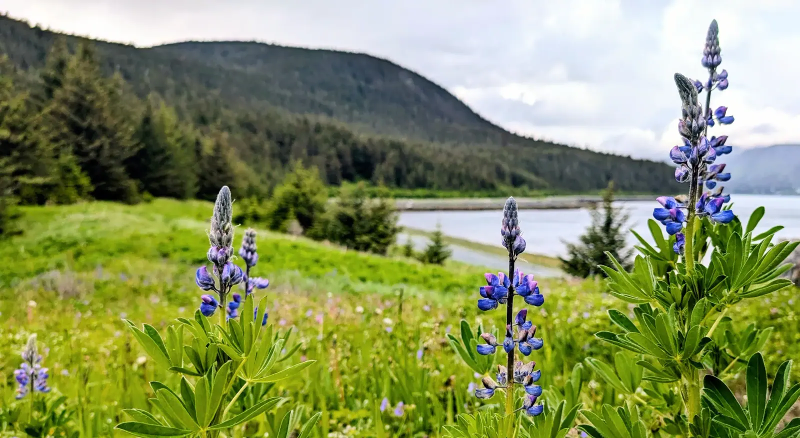 Match the Season and Itinerary