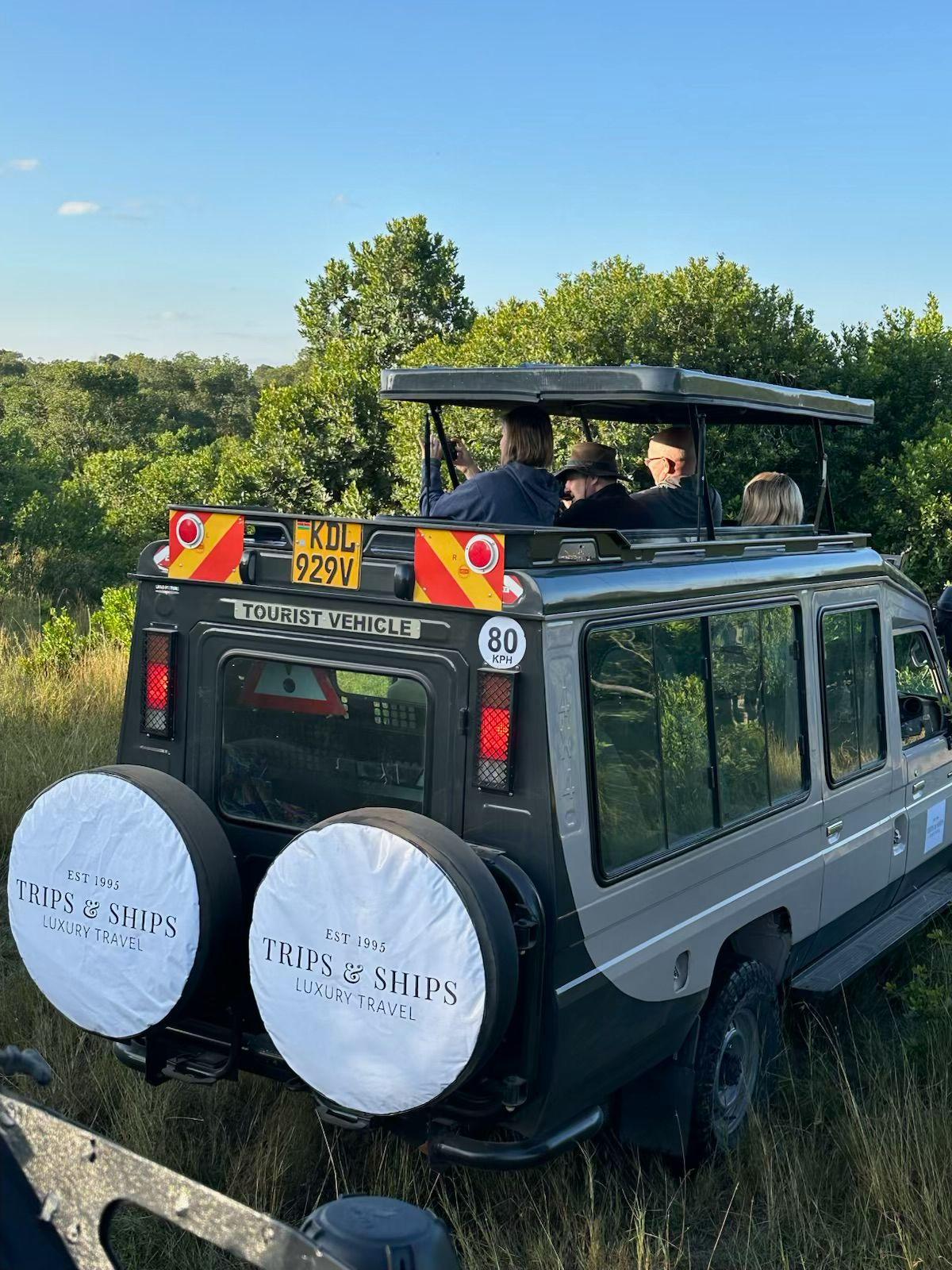 Majestic Lion Safari