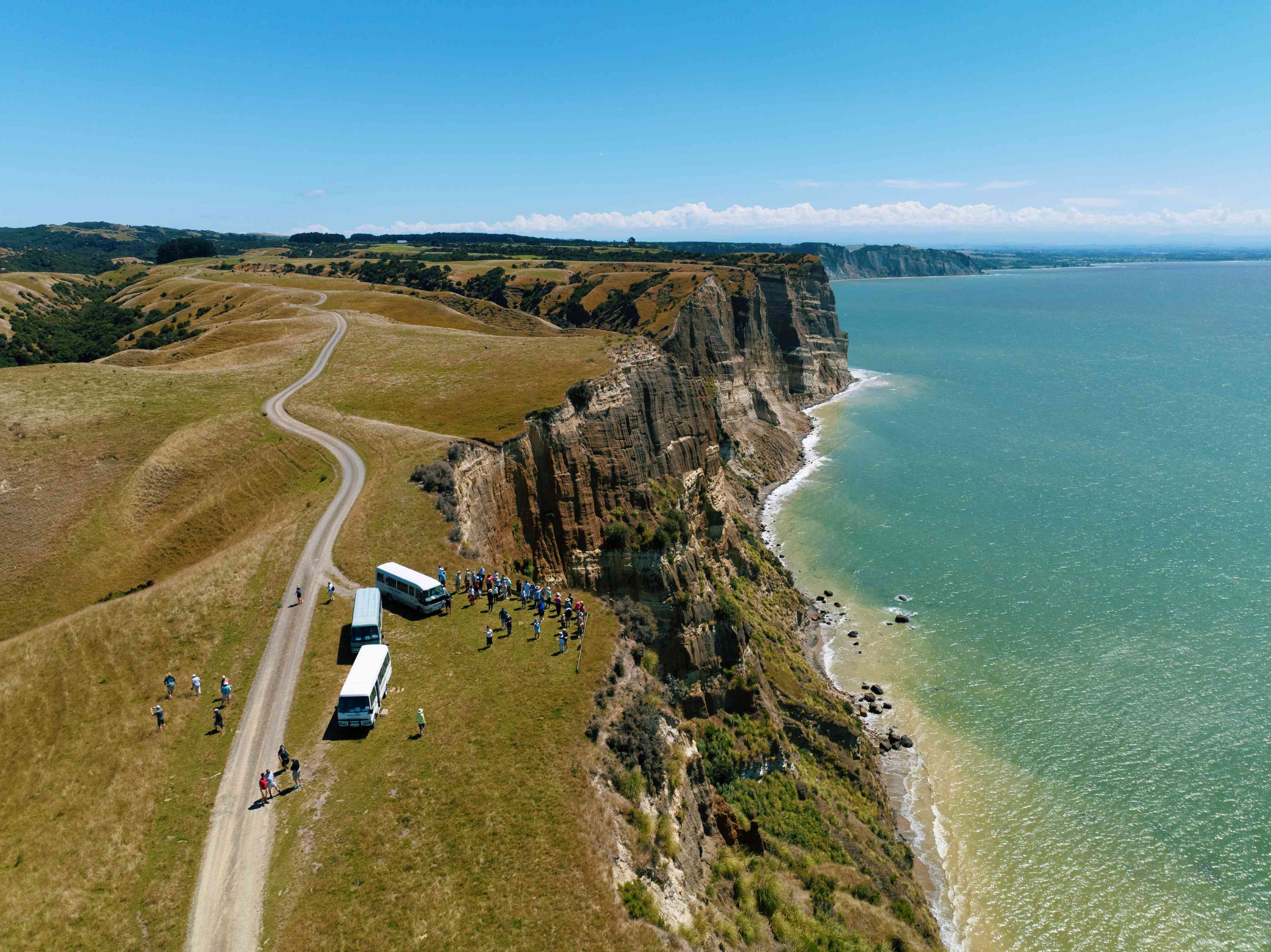 Azamara Napier Gannet Safari aerial view – New Zealand destination