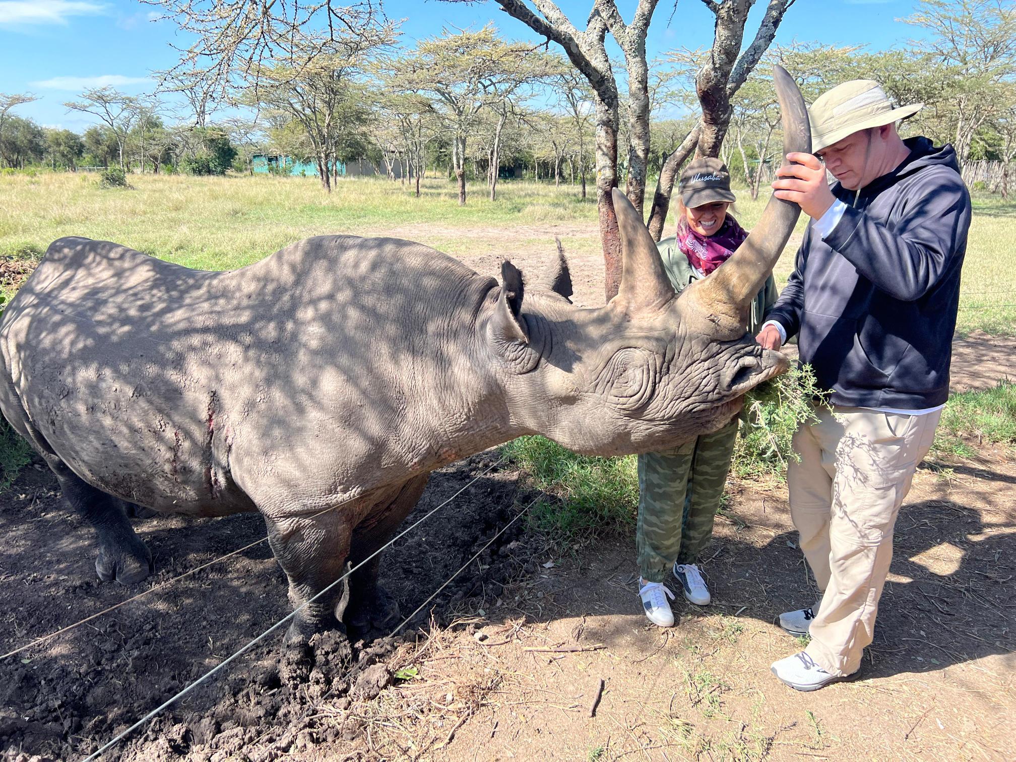 Elephant sanctuaries