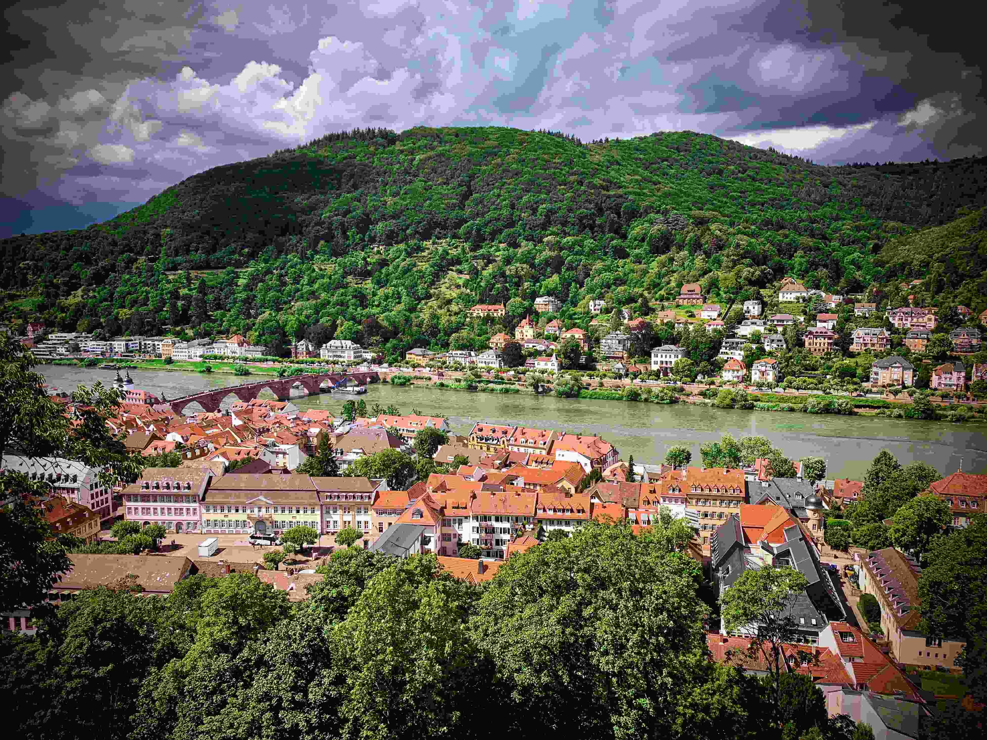 Viking river cruise scenic journey