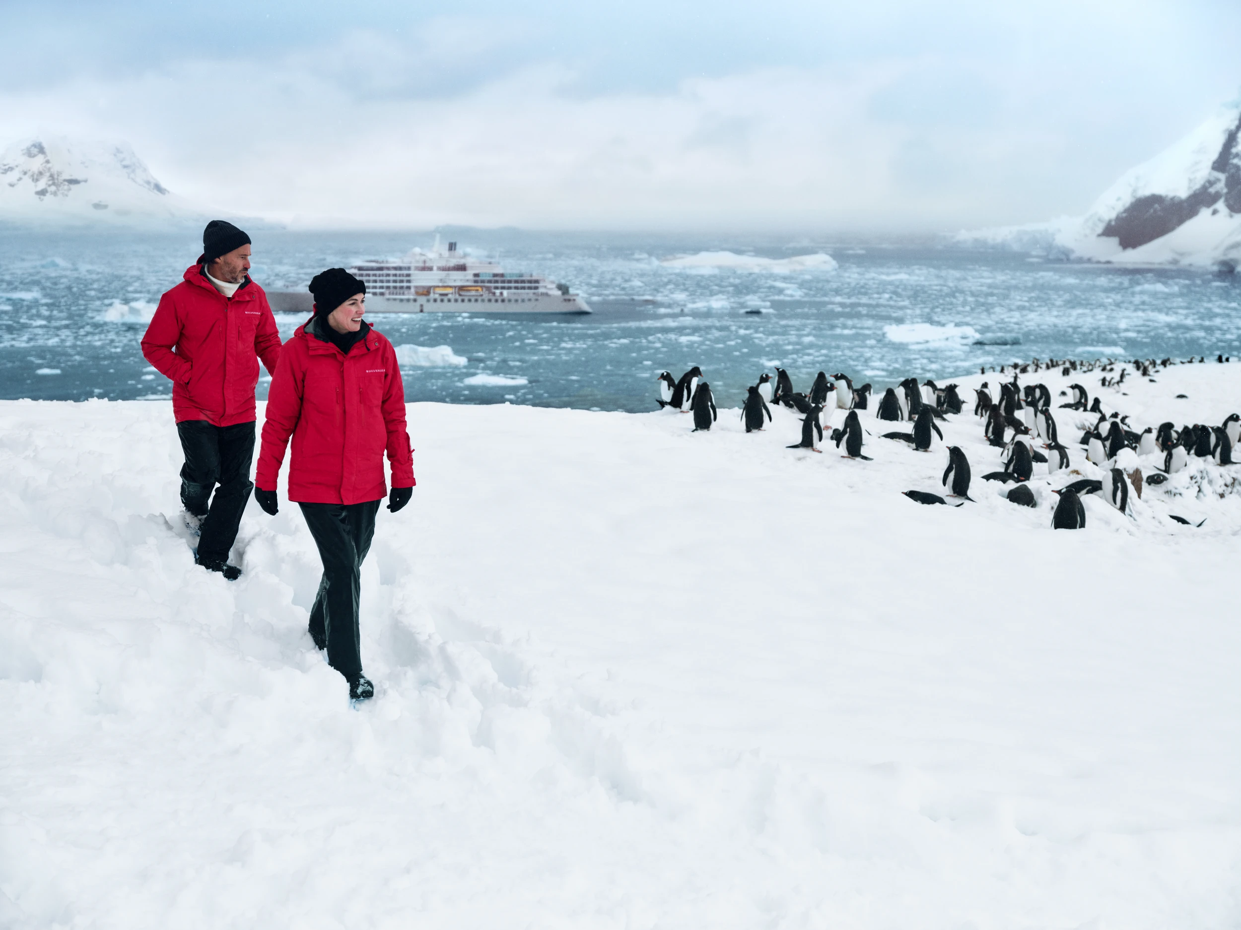 Antarctica Expedition Planning