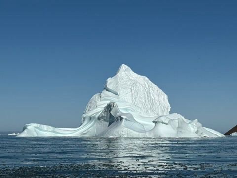 Wildlife viewing aboard Explora Journeys in the Arctic