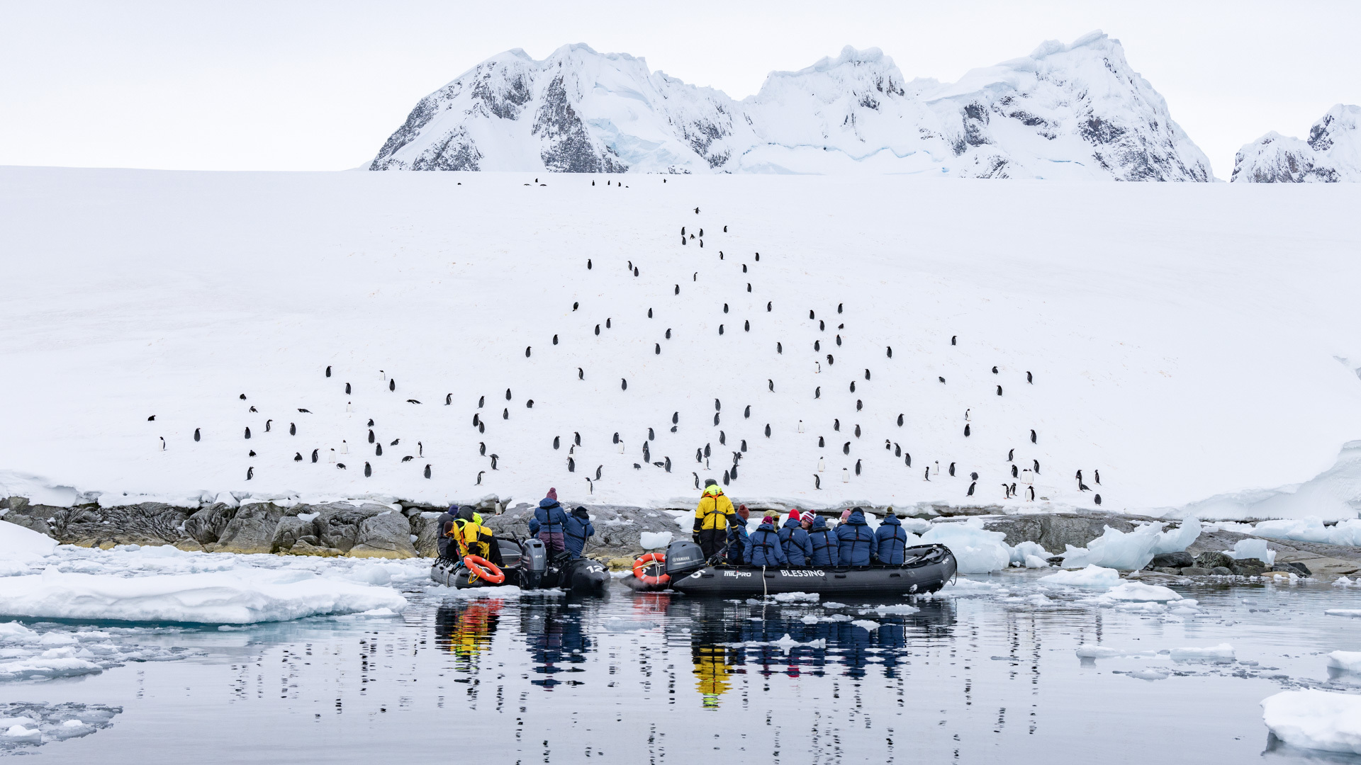 Expedition Shore Landing