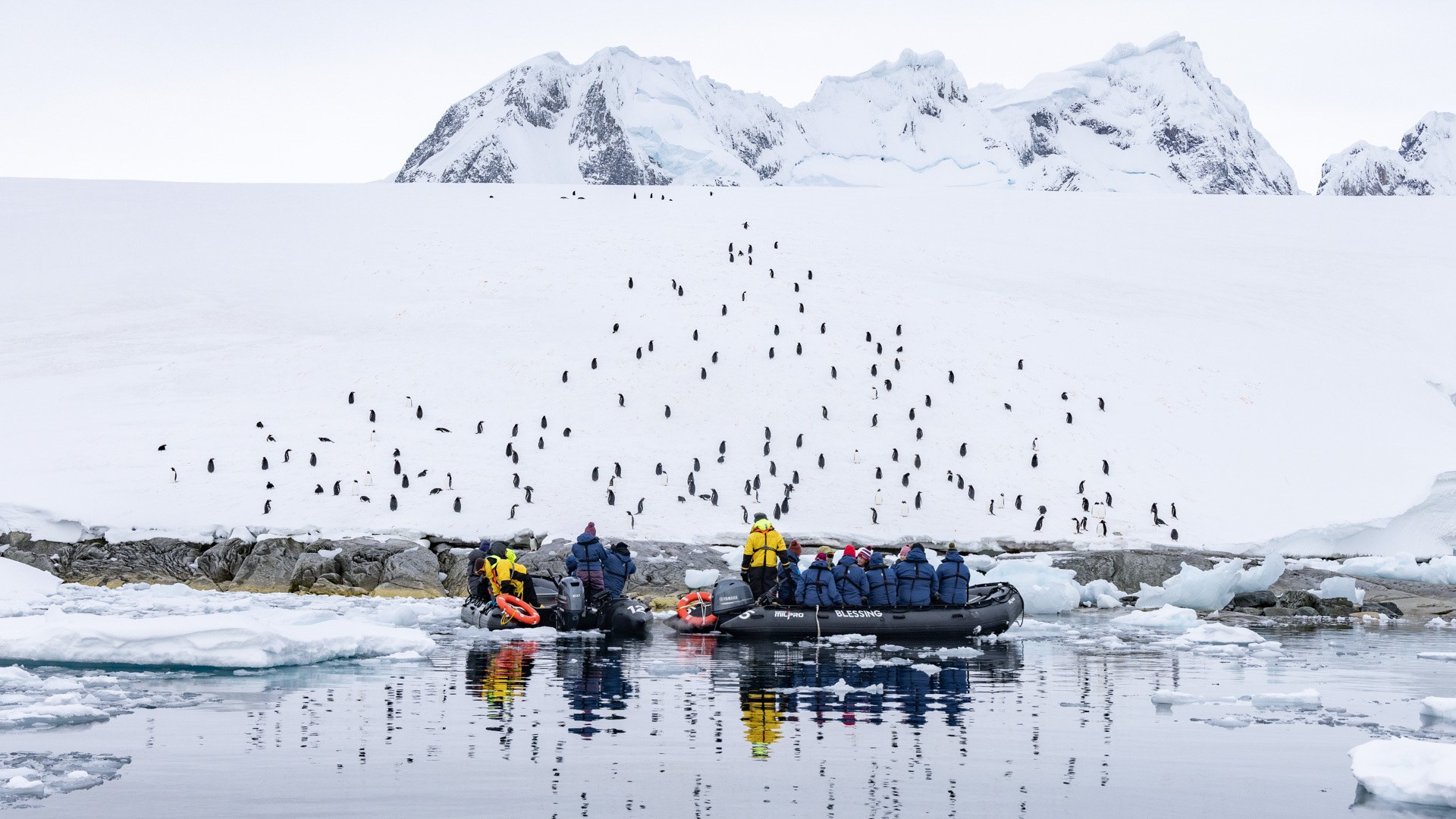 Expedition Shore Landing