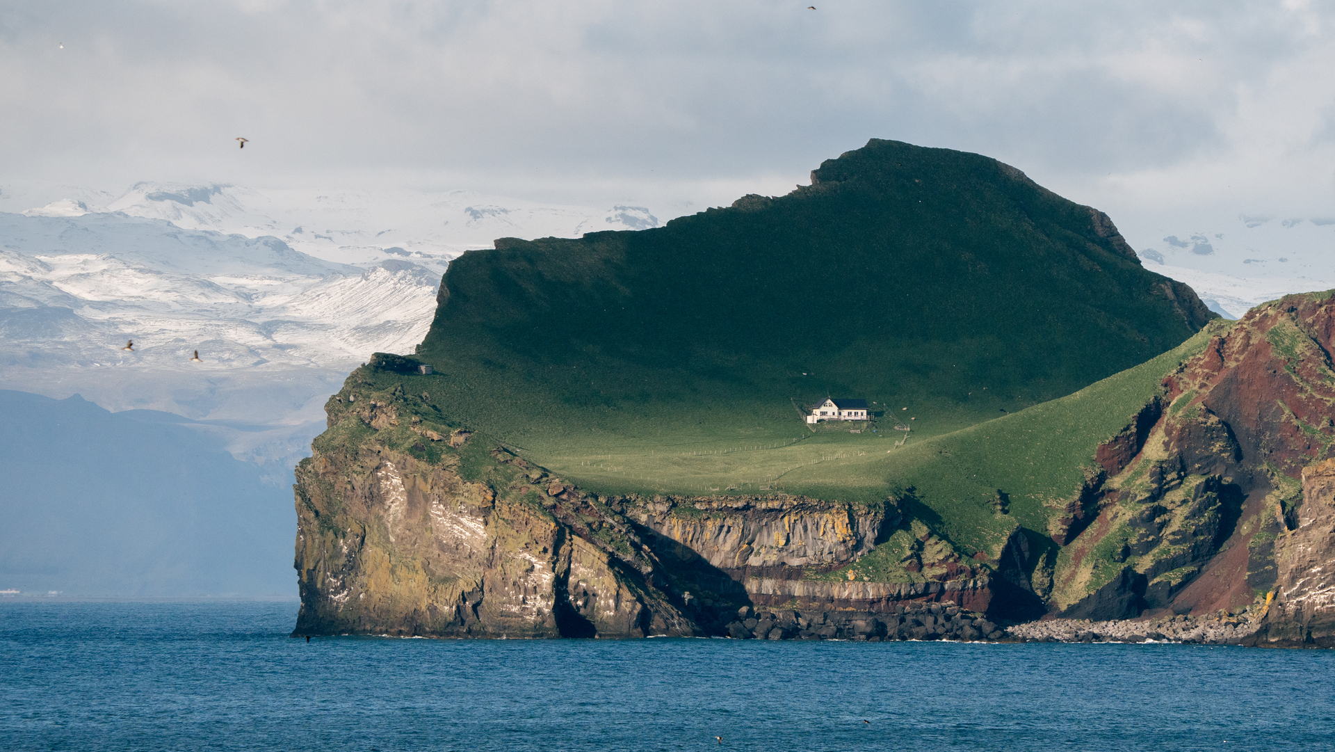 Sub-Arctic Cliffs of Heimaey
