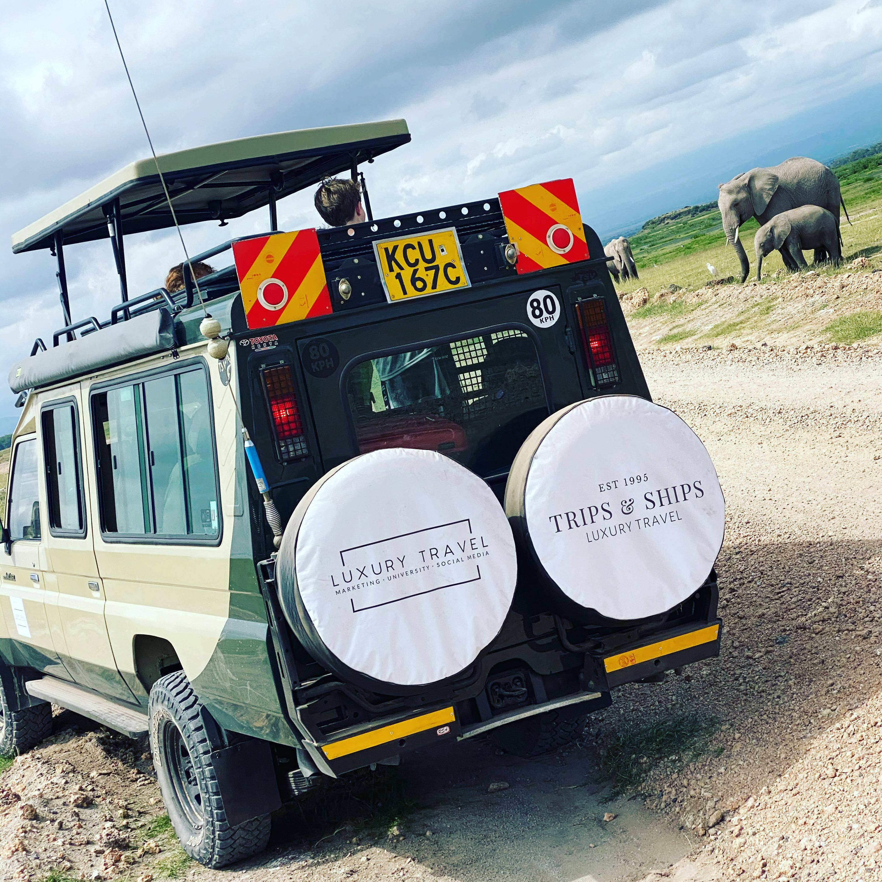 Luxury Safari Experience