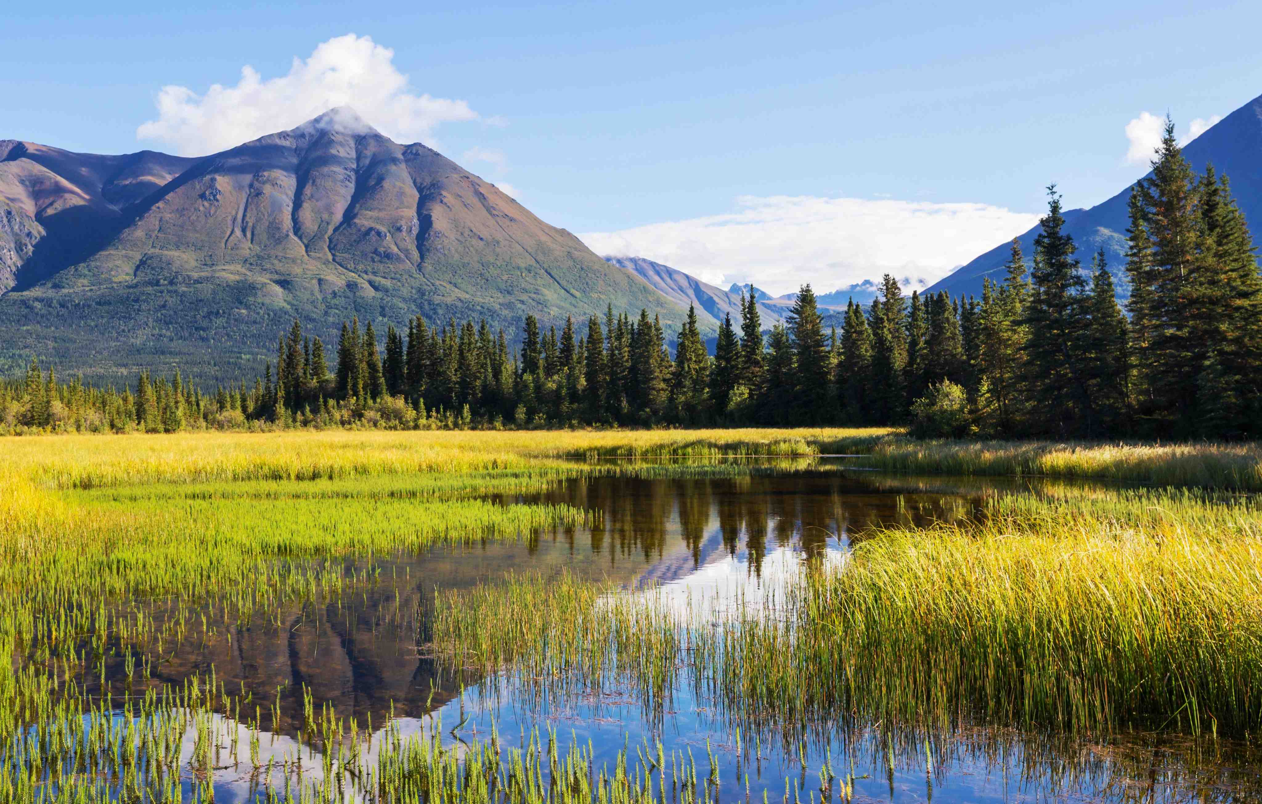 Alaska Wildlife Cruises