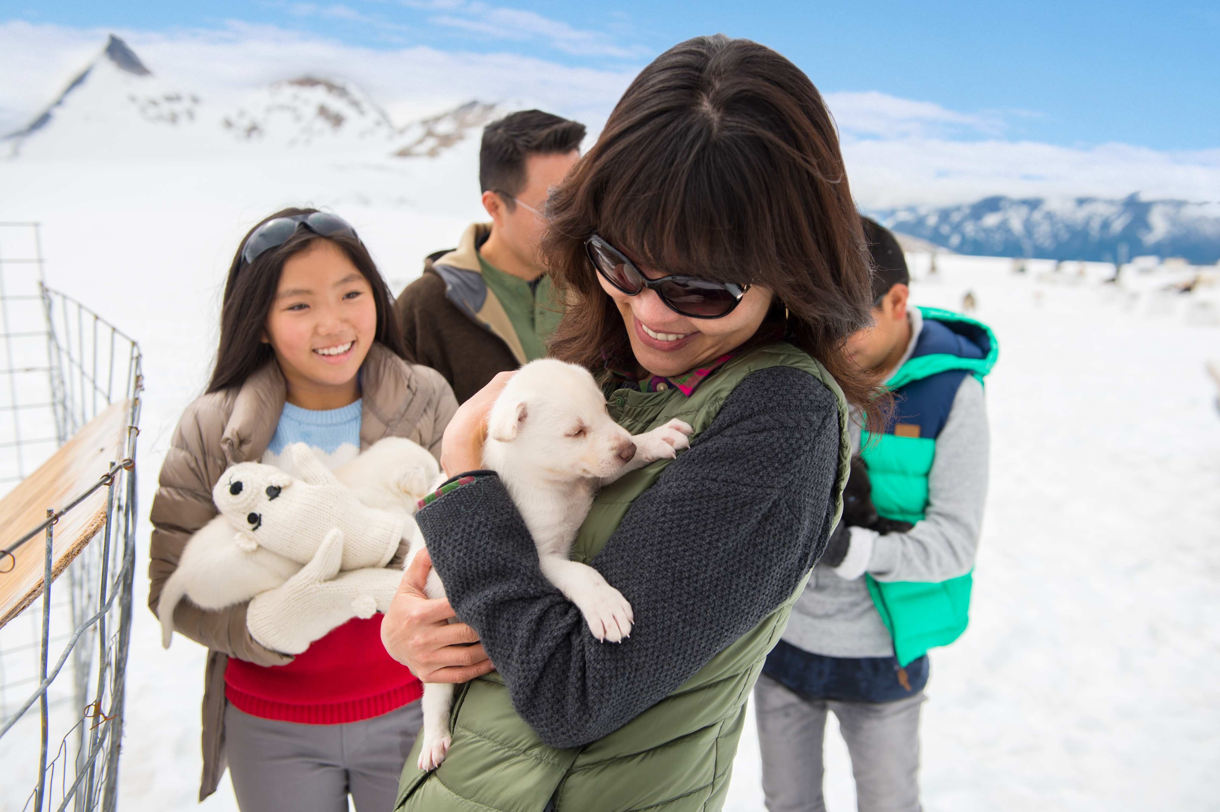 Disney Cruise Alaska Shore Excursion Dog Sledding Puppy