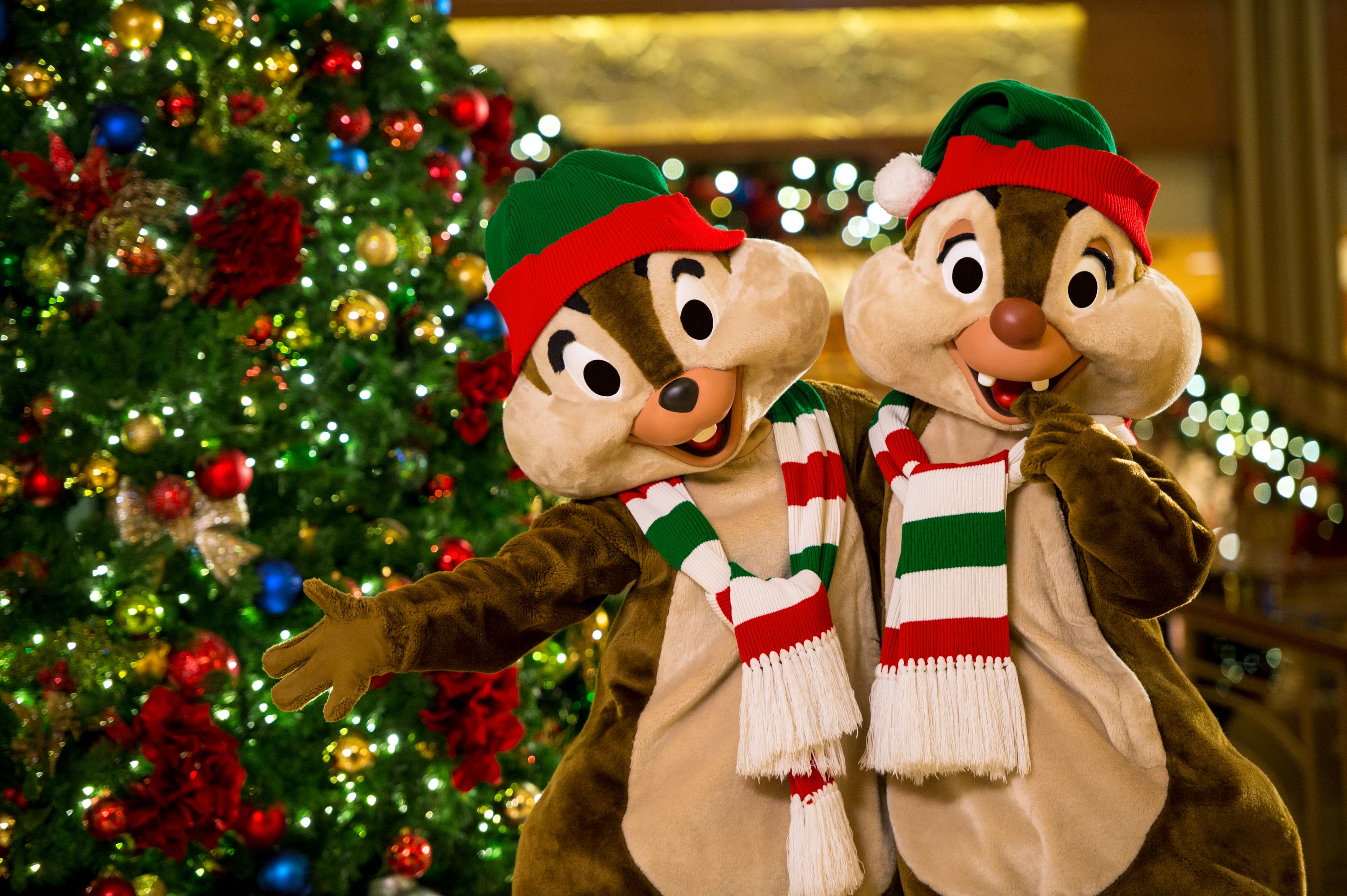 Disney Cruise Experience Highlight 10