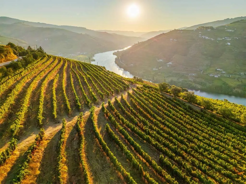 Douro River (Portugal)