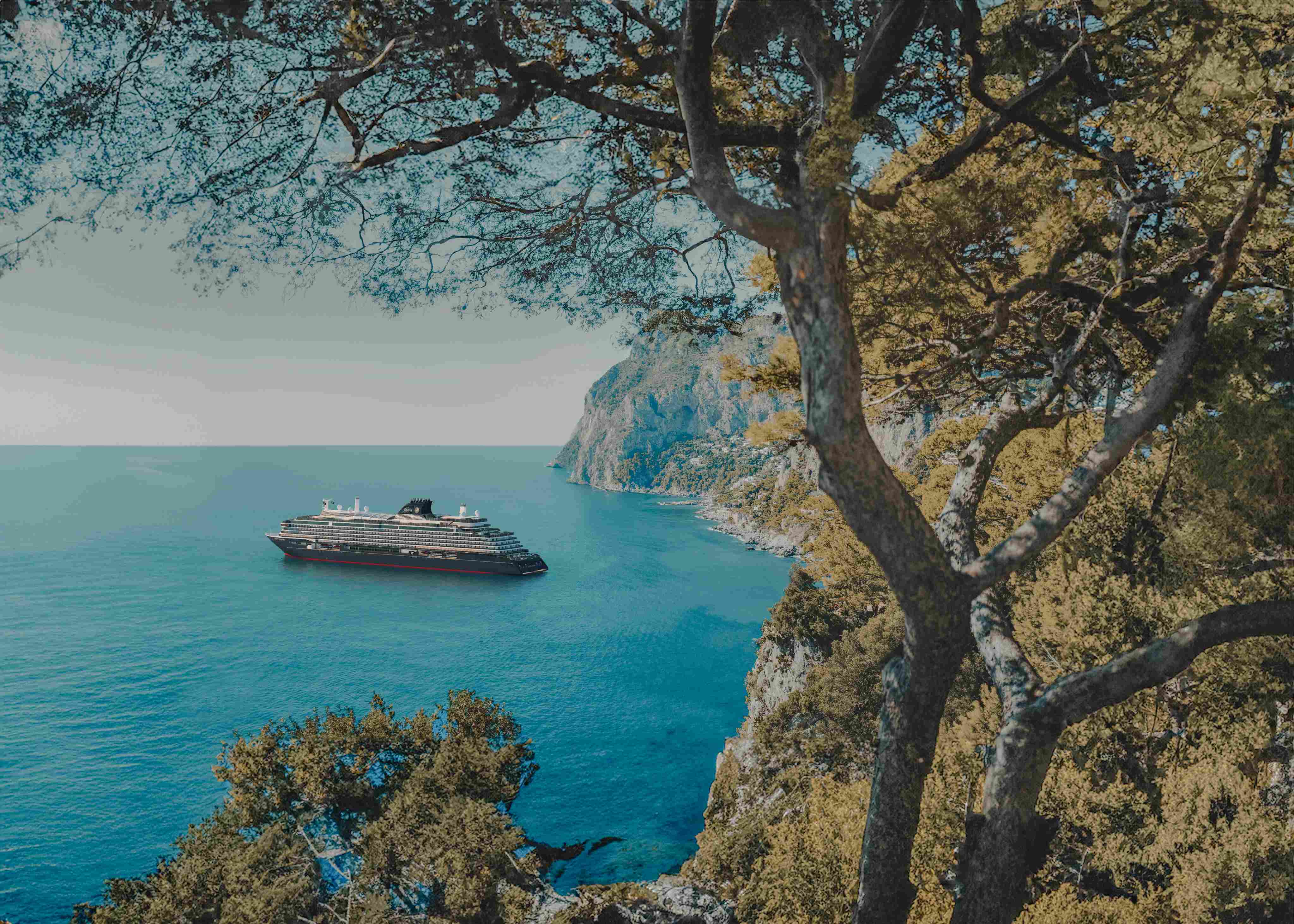The Mediterranean