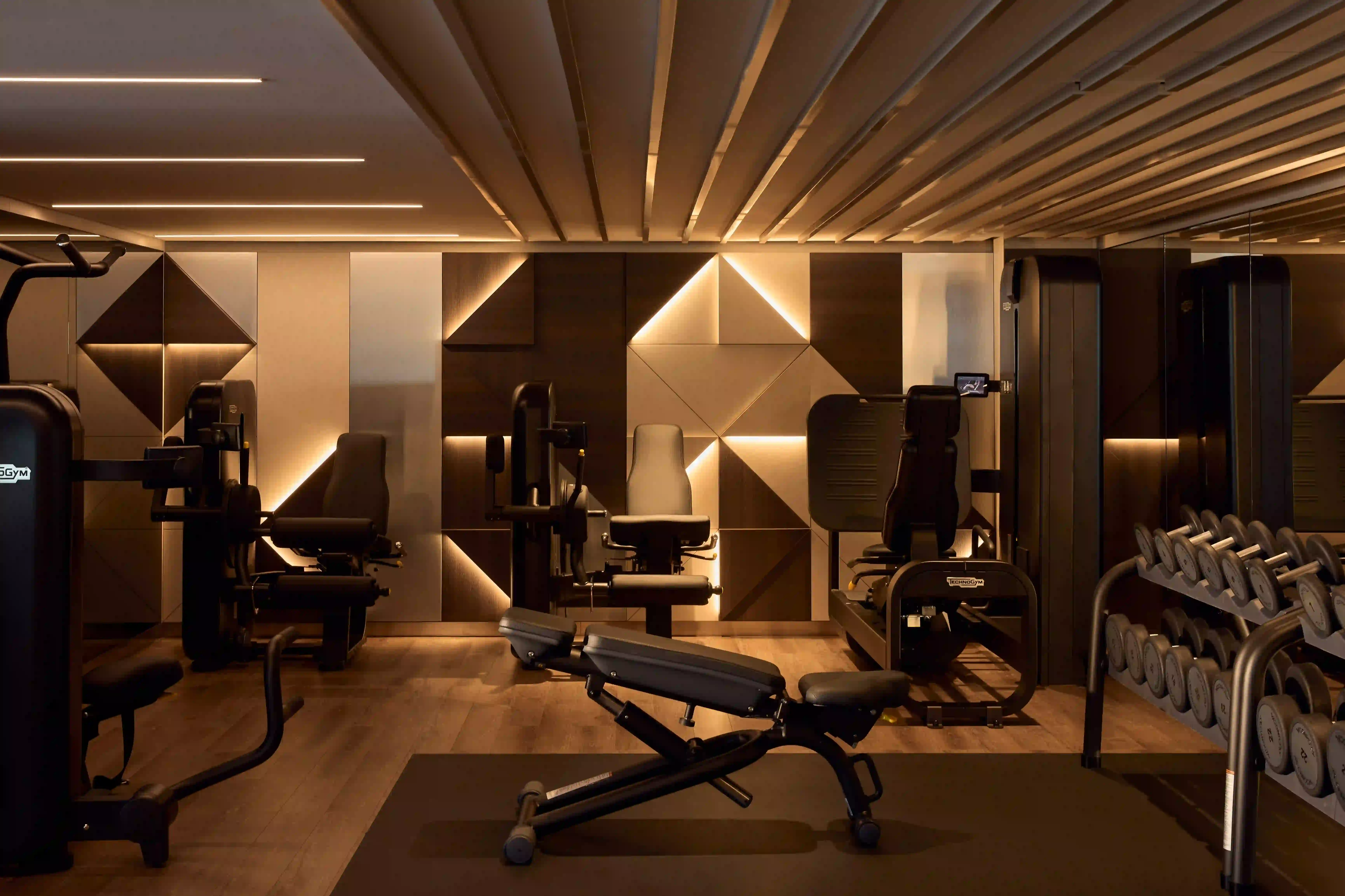 Luxury Fitness Center