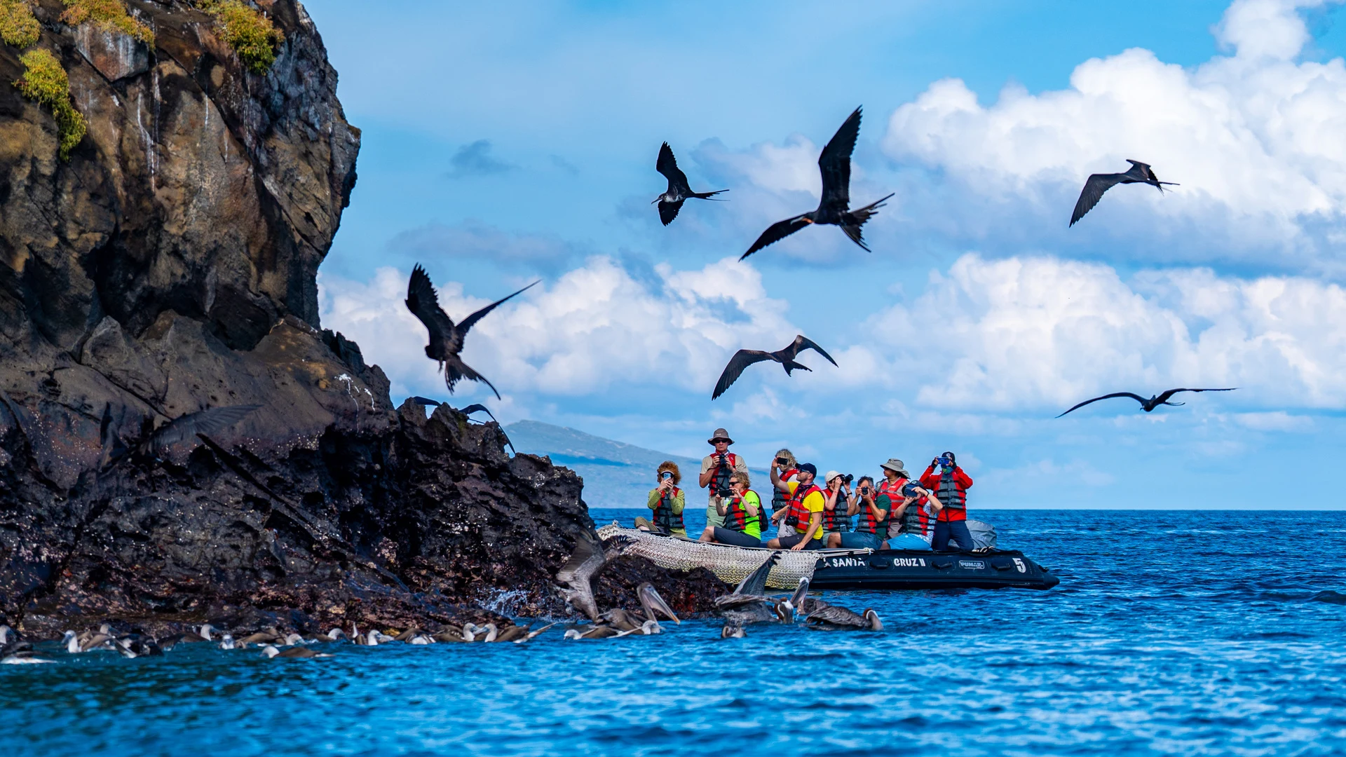 Galápagos wildlife expedition cruise
