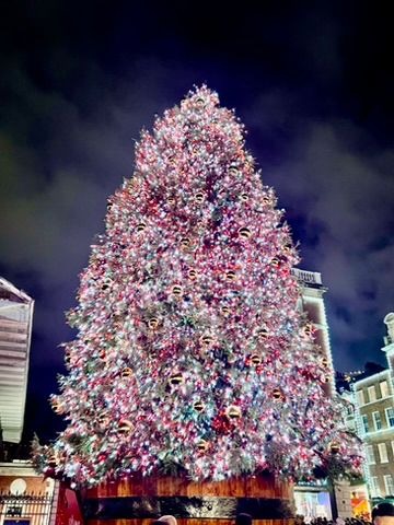 Giant Christmas Tree in European Market Square
