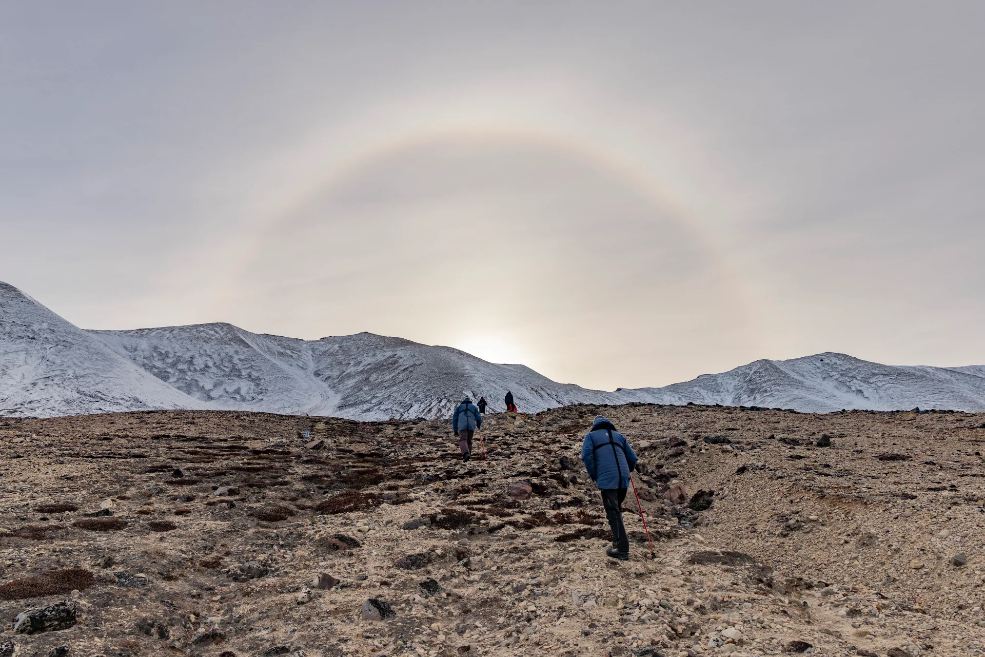 Greenland icebergs expedition