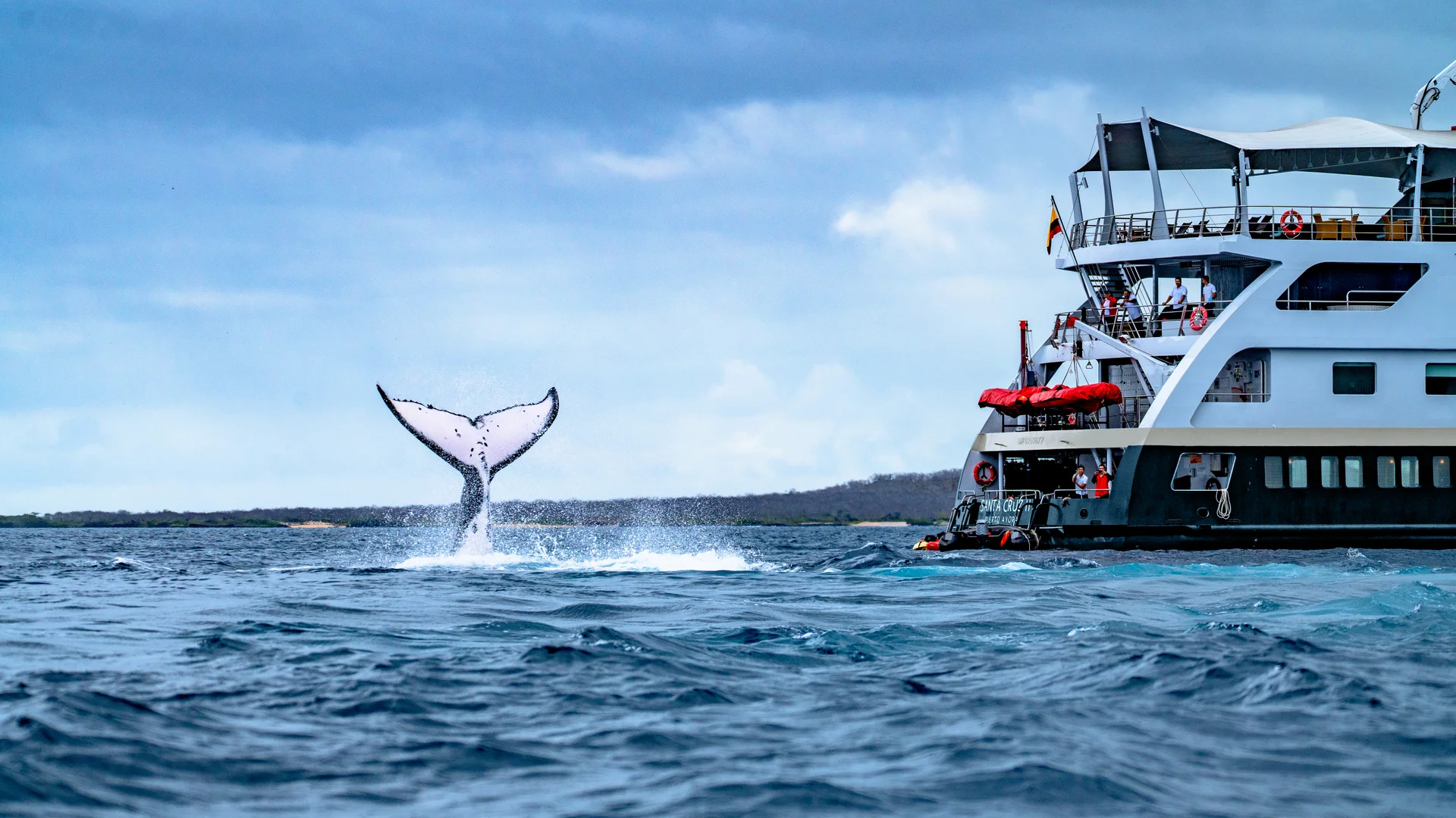 MS Santa Cruz II in the Galápagos
