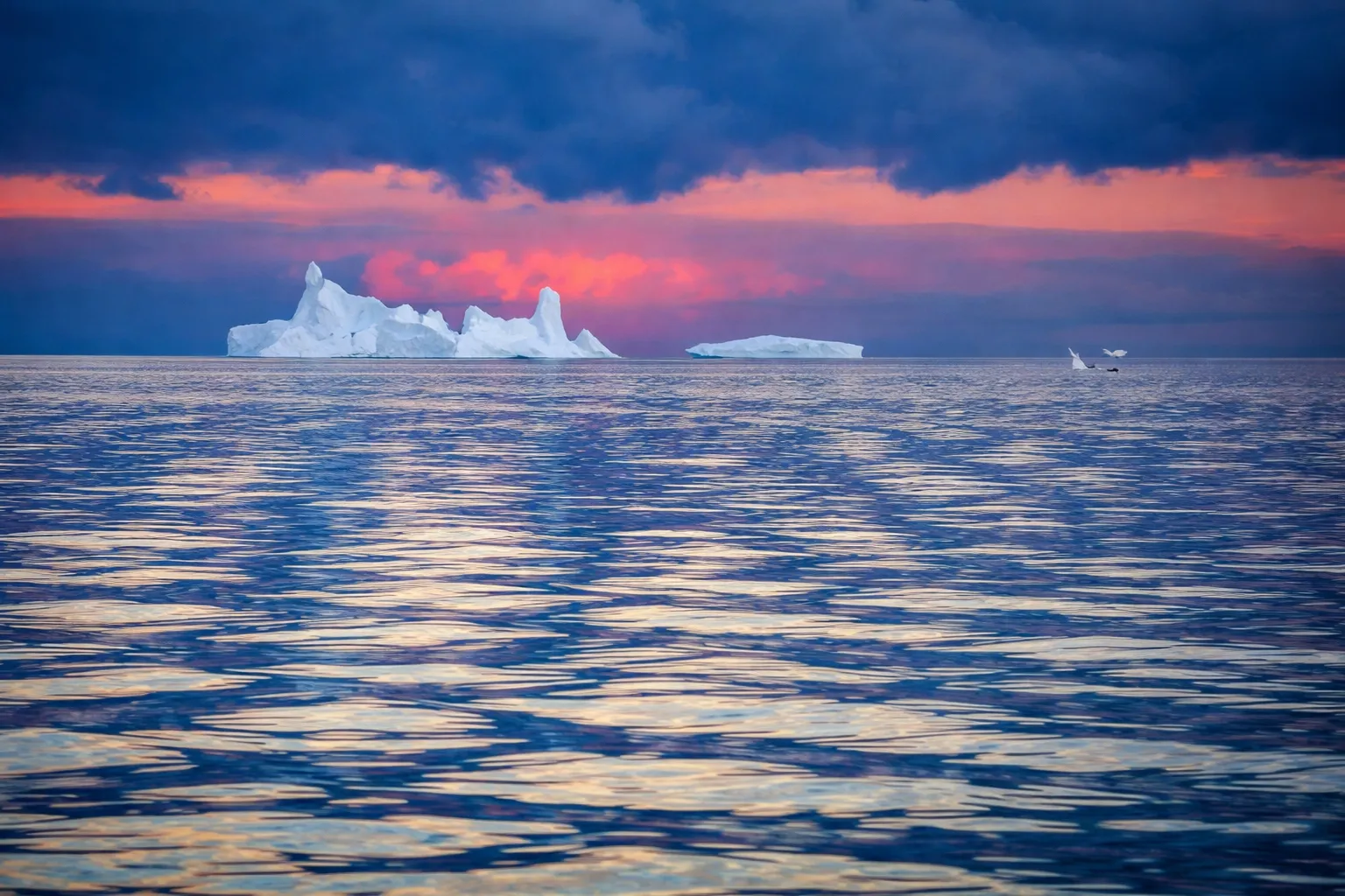 Antarctic icebergs floating on calm ocean water during a colorful sunset with pink and blue sky reflections
