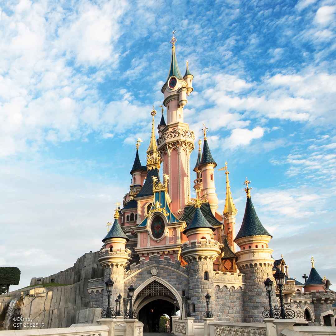 The Icon of Imagination