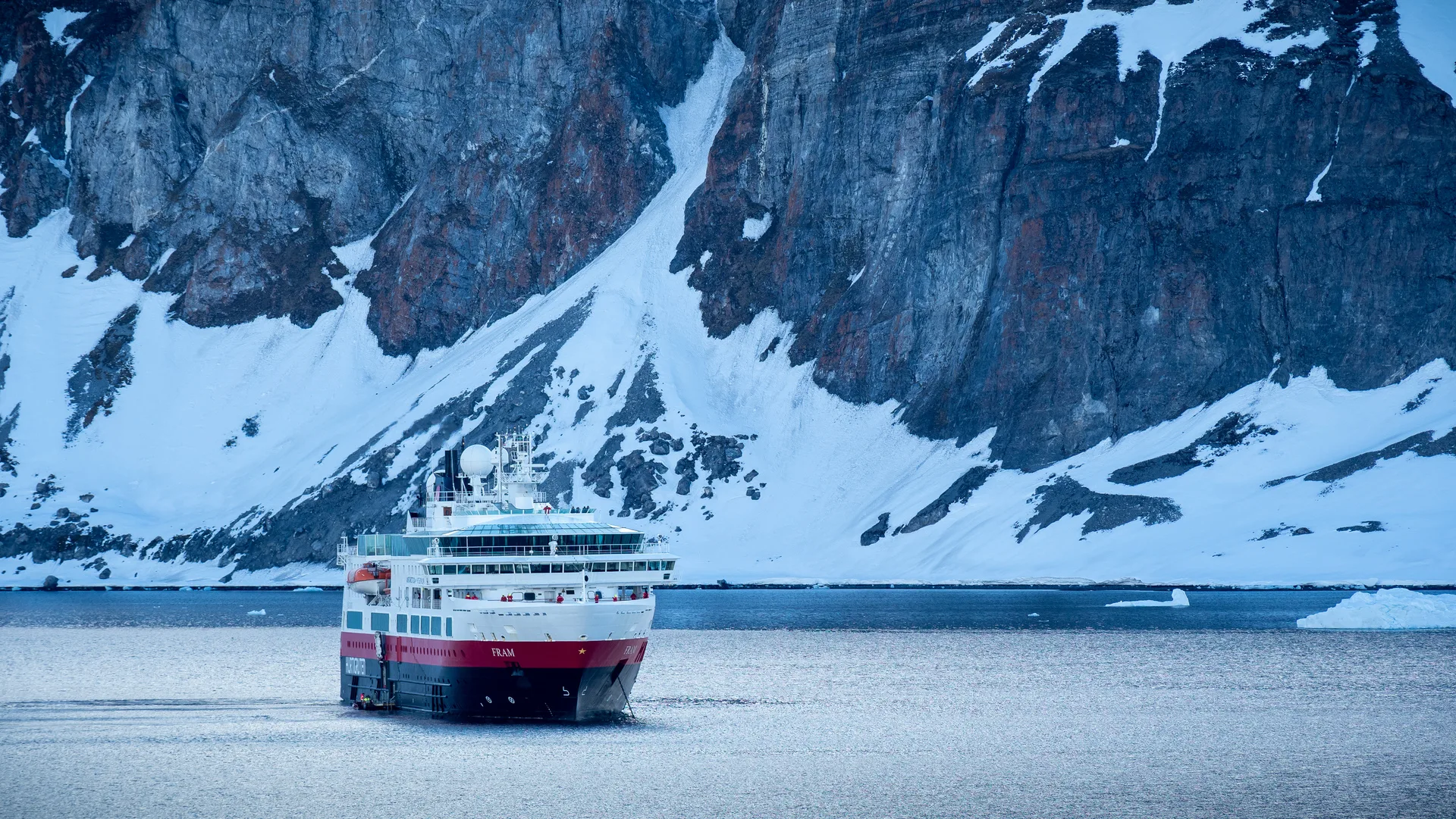 Polar bear during Svalbard expedition