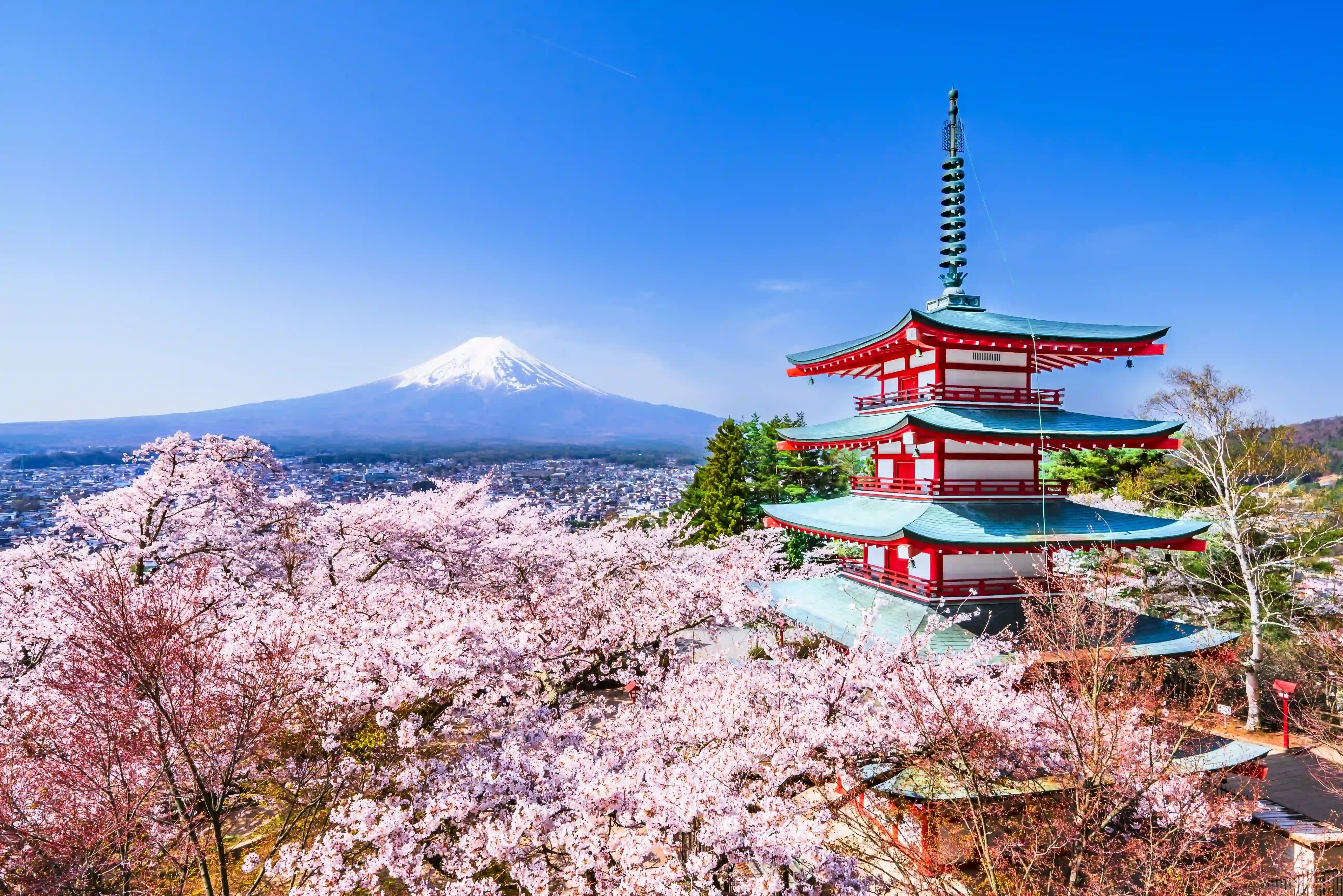 Alumni group tour in Japan
