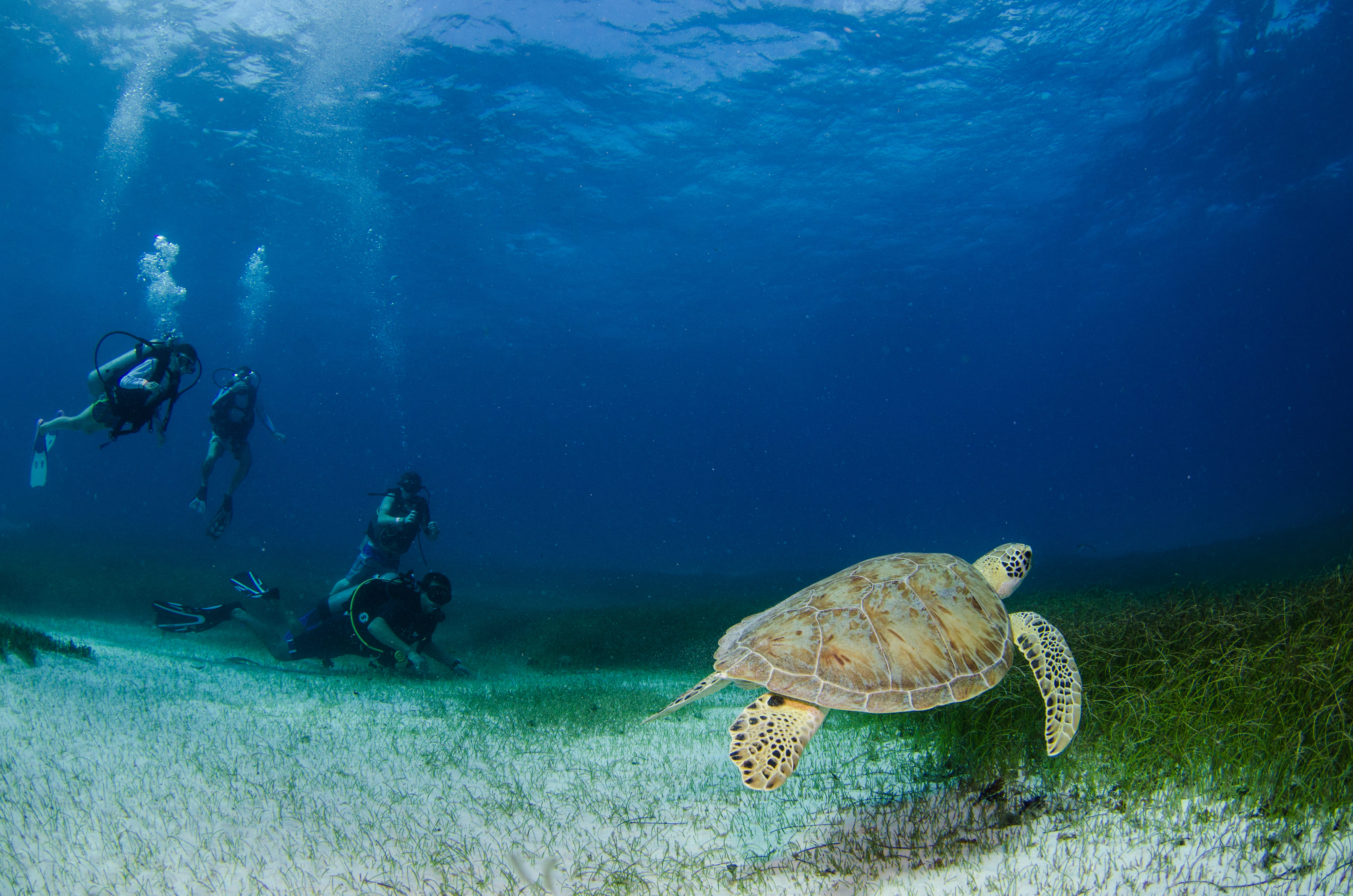 Family enjoying Galápagos Islands