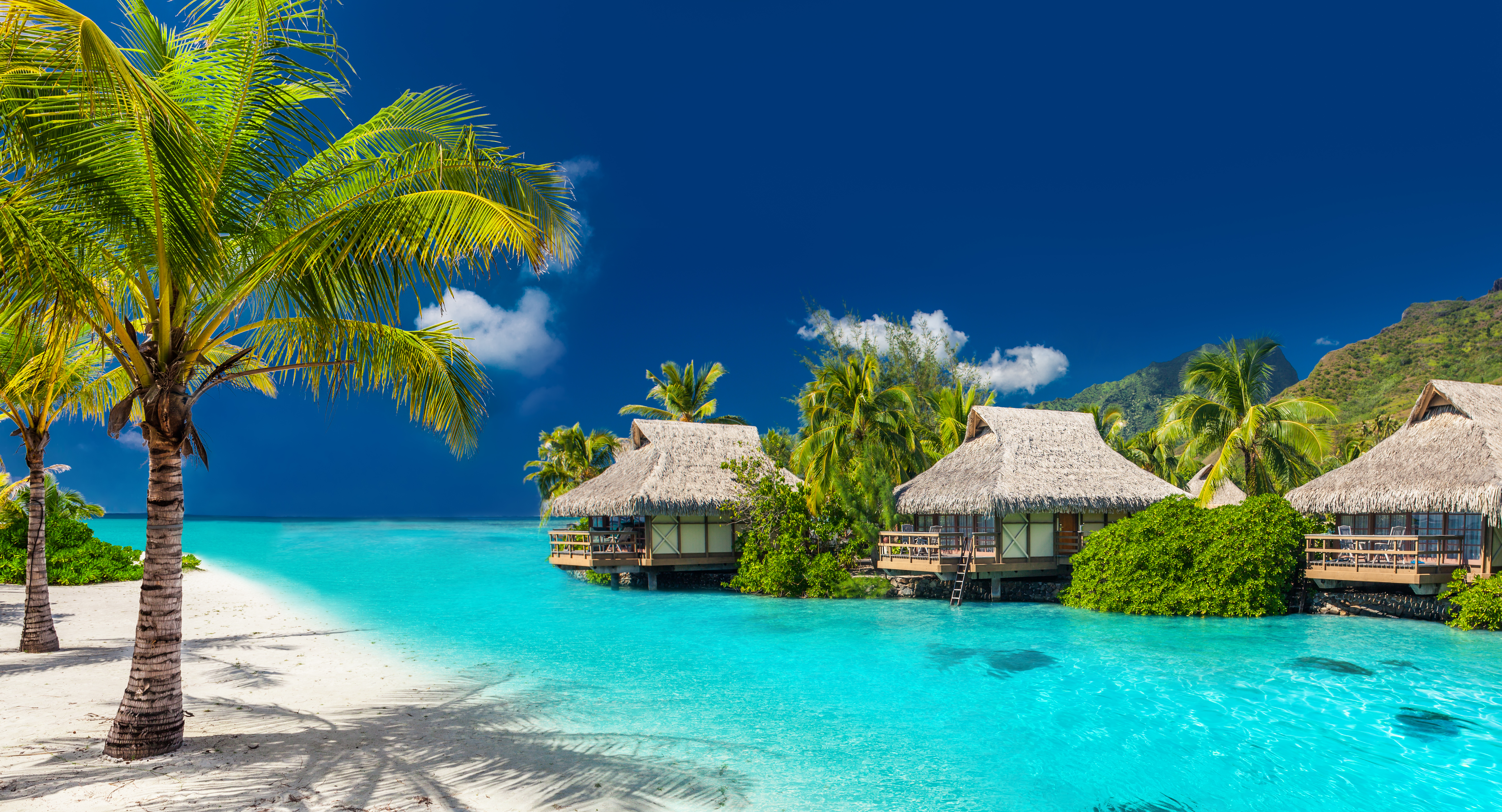 Wedding destination in Caribbean & Mexico