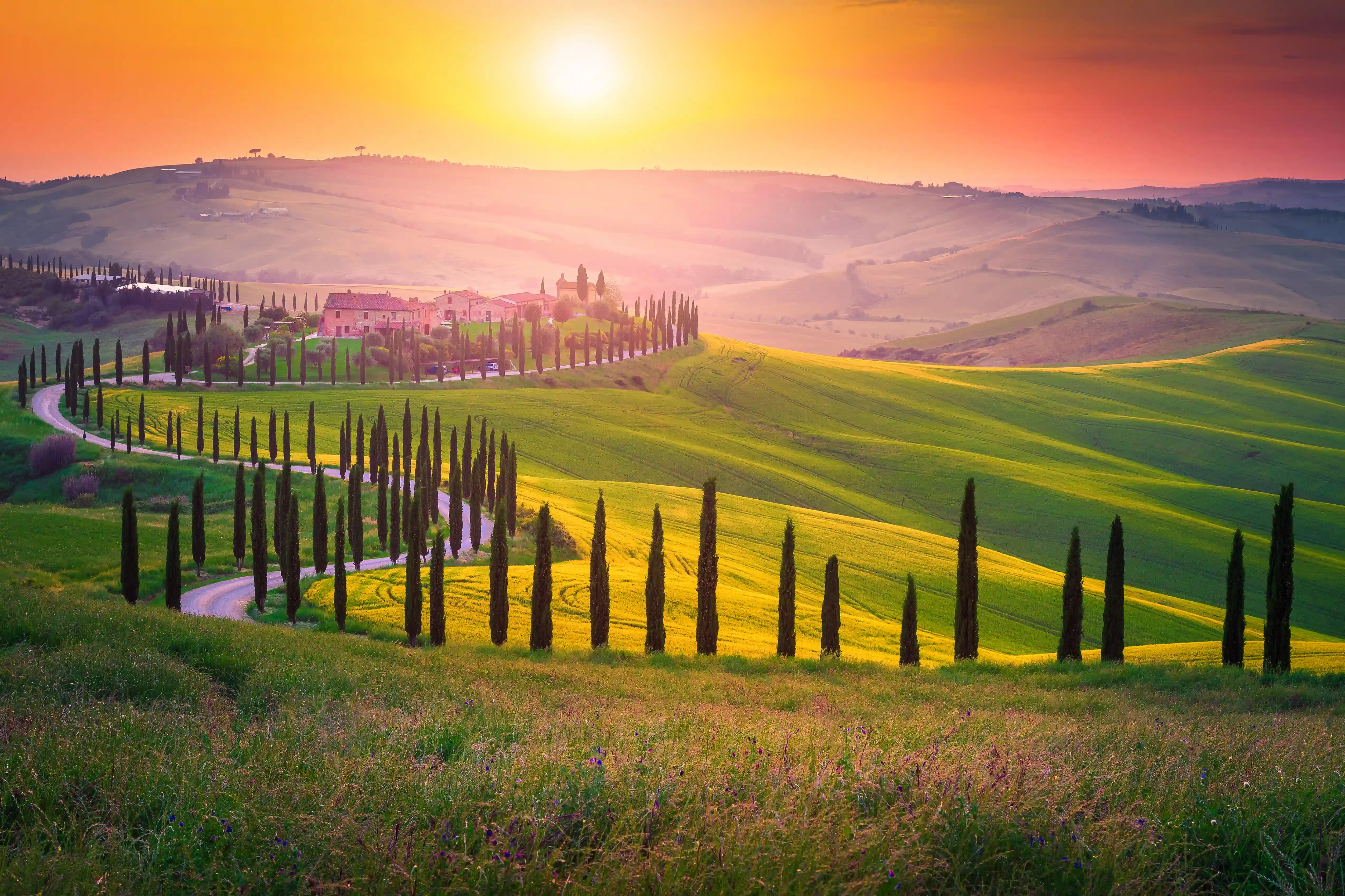 Alumni group tour in Italy