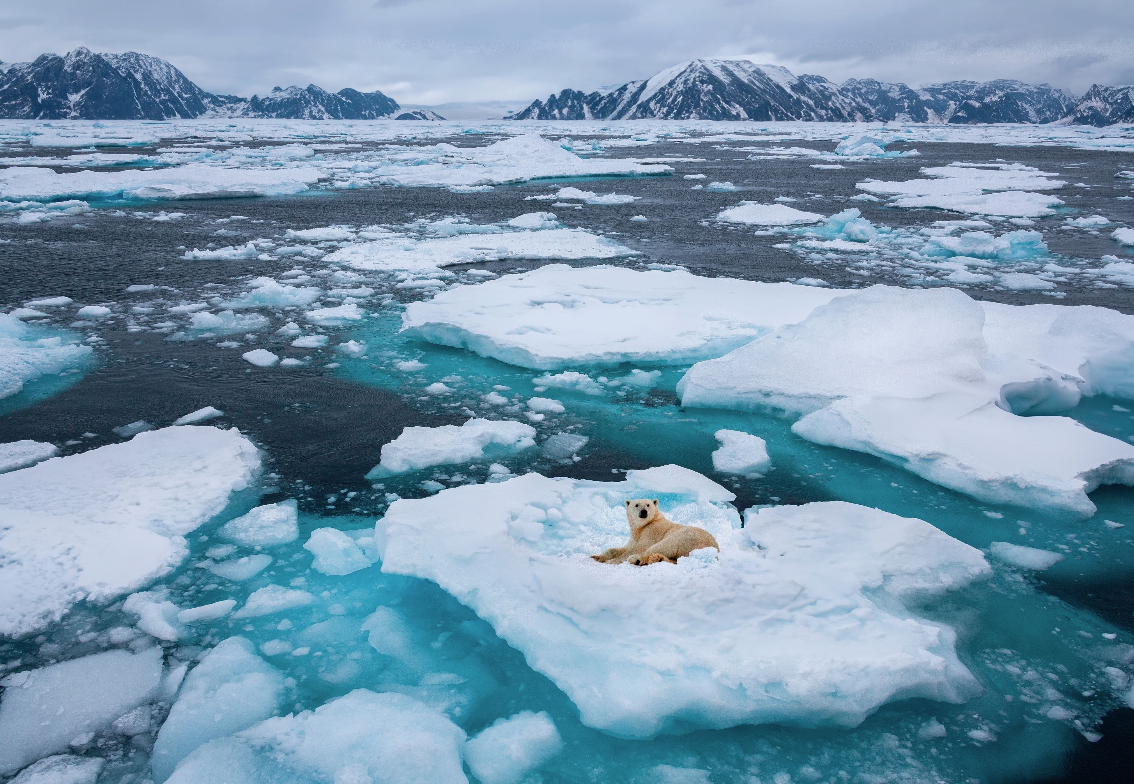 Cruising past Greenland ice cliffs